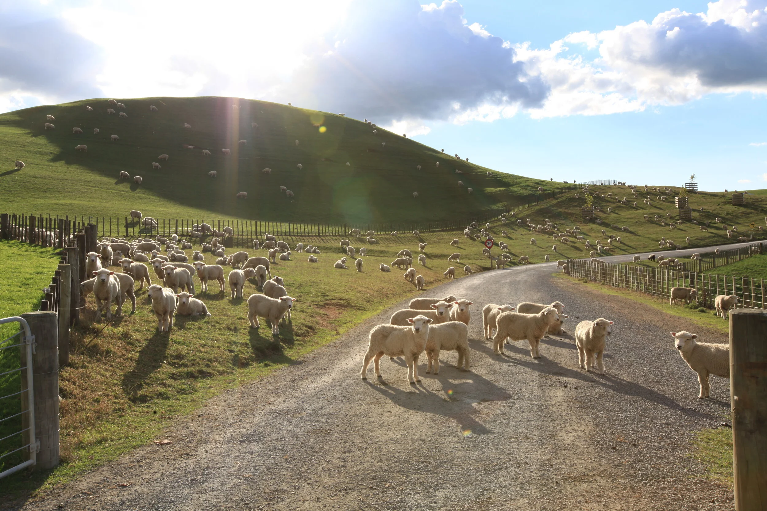 Valuation Eastland Rural Consultancy.jpg