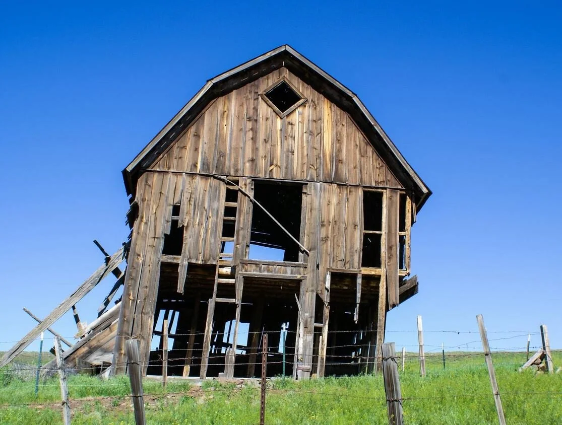 The Five Constitutions