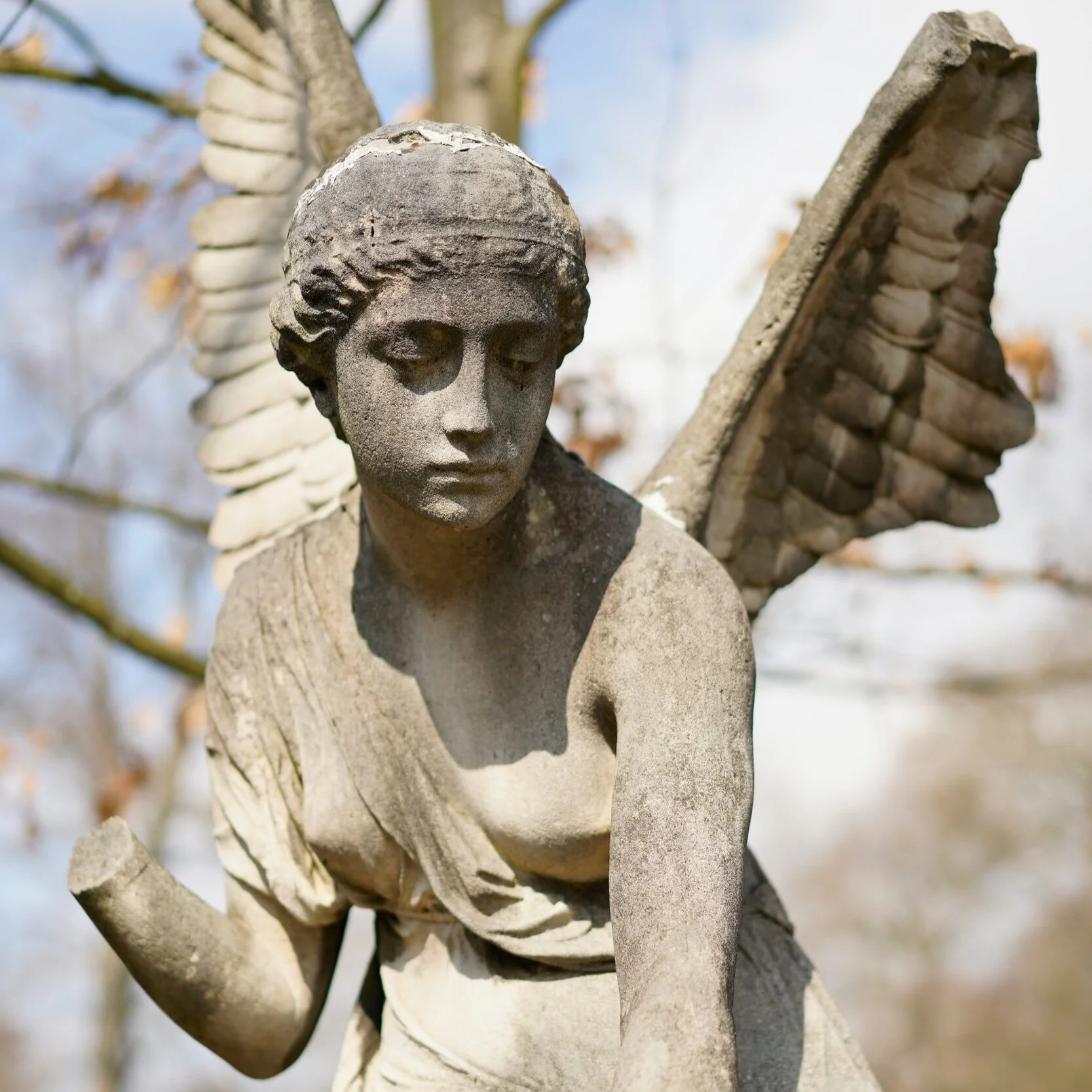 Trust: The Vital Element