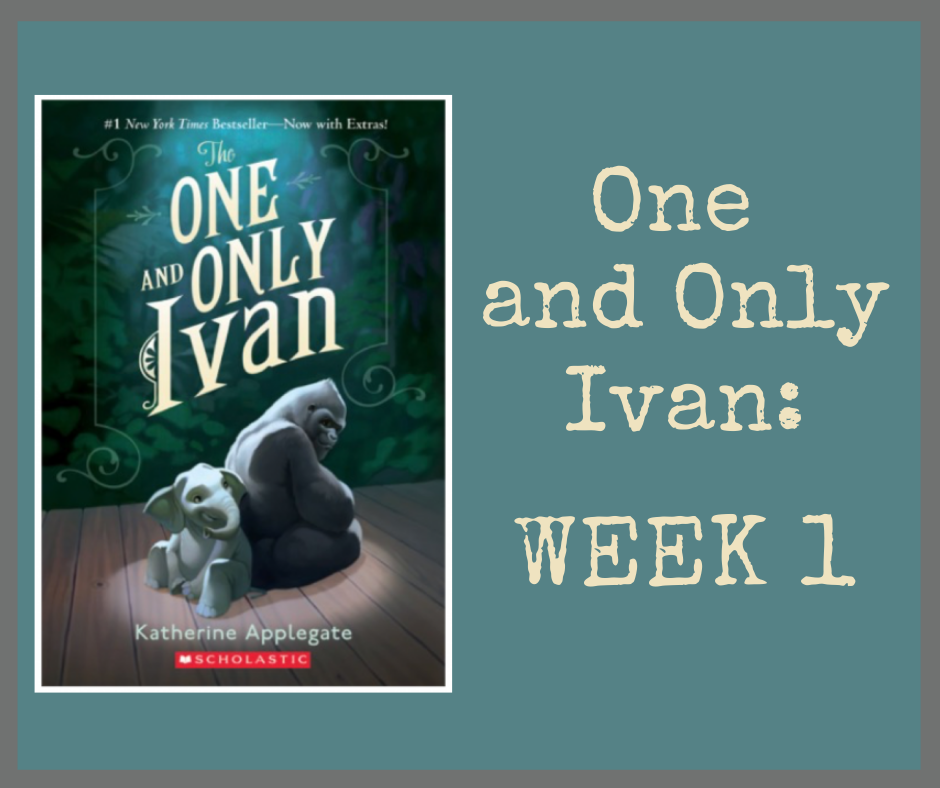 The One and Only Ivan Week 1 — ReallyGrit Consulting