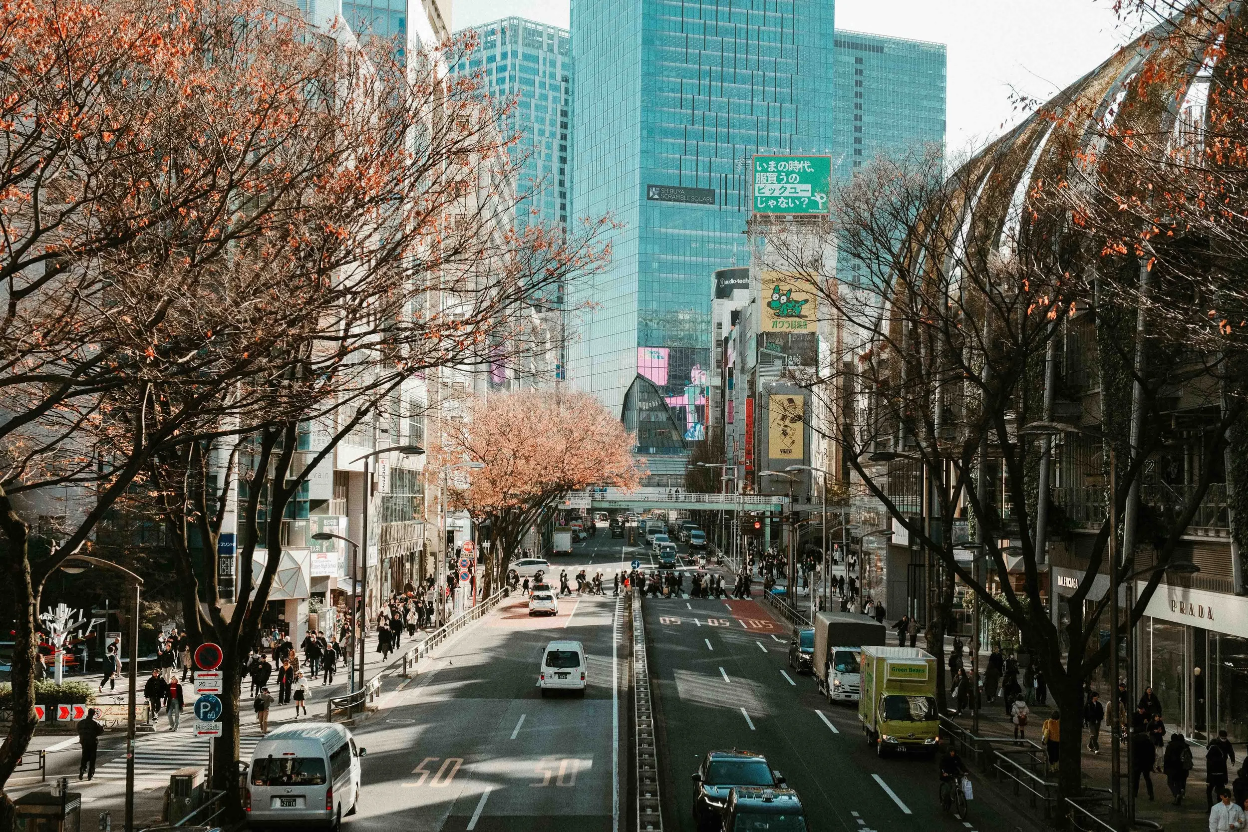 DSCF8921.jpg