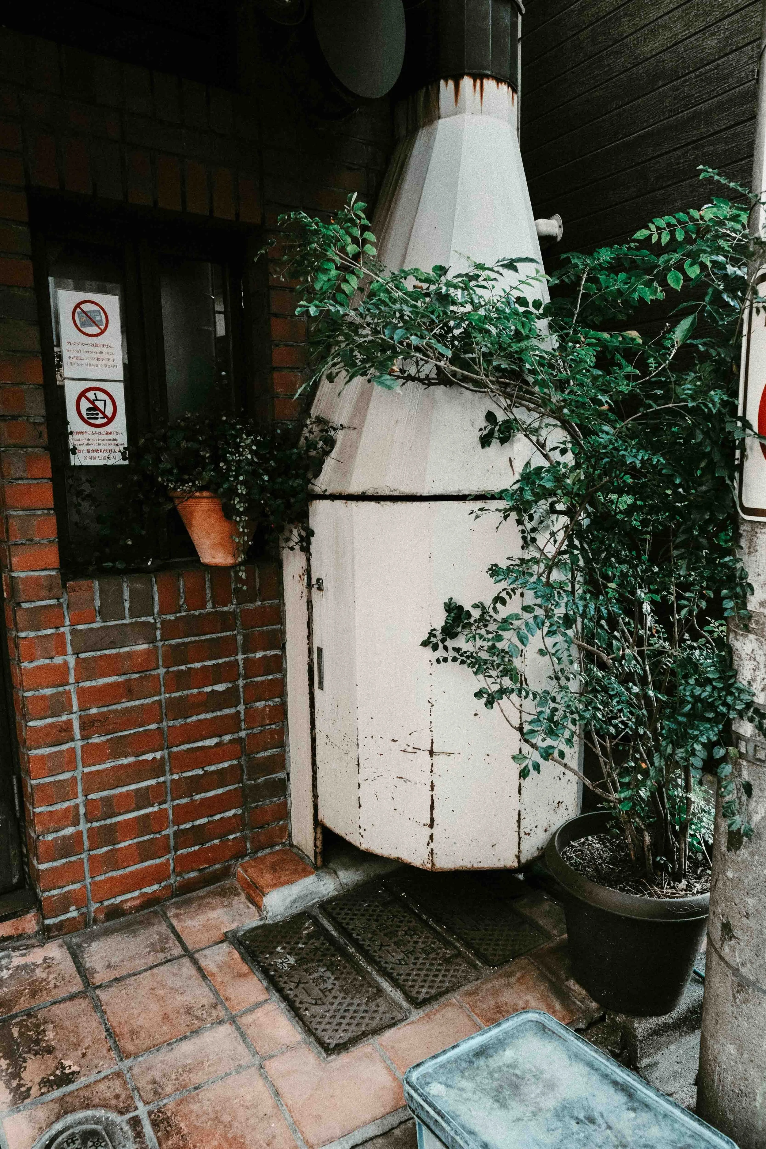 DSCF9298.jpg