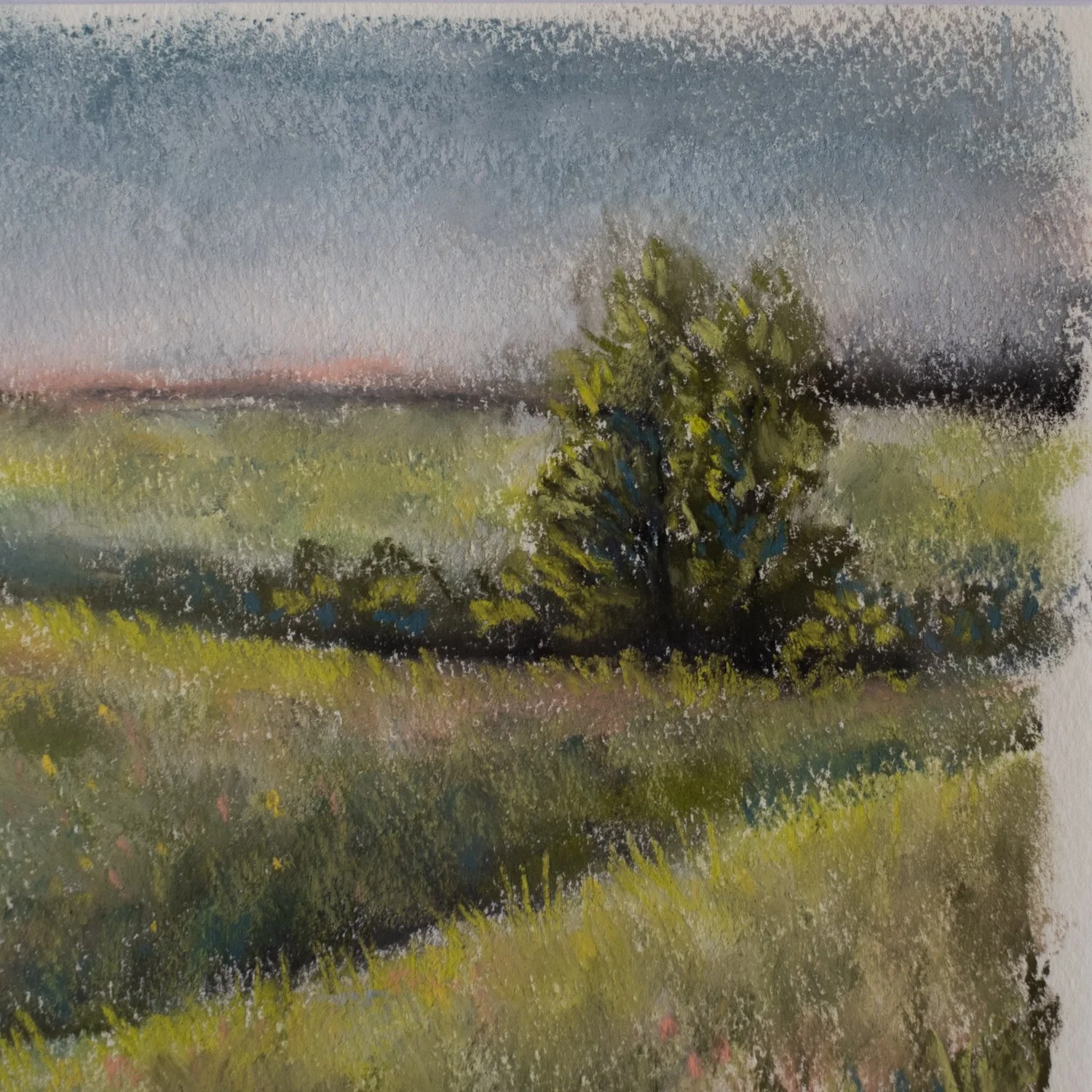 DSCF5566.jpg
