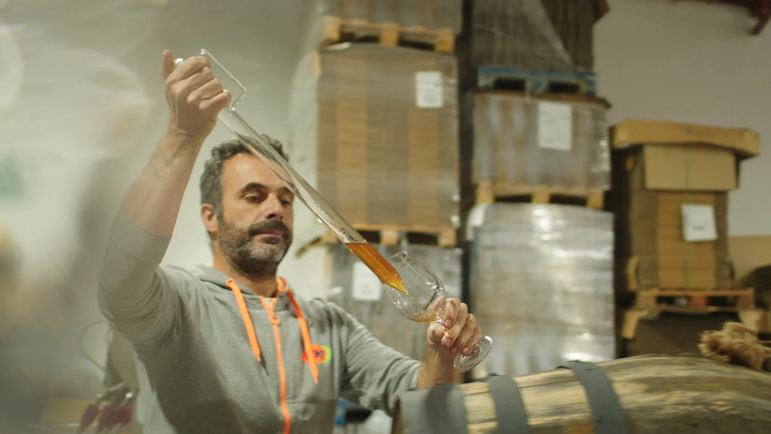 Untitled_1.29.1 (1).jpg