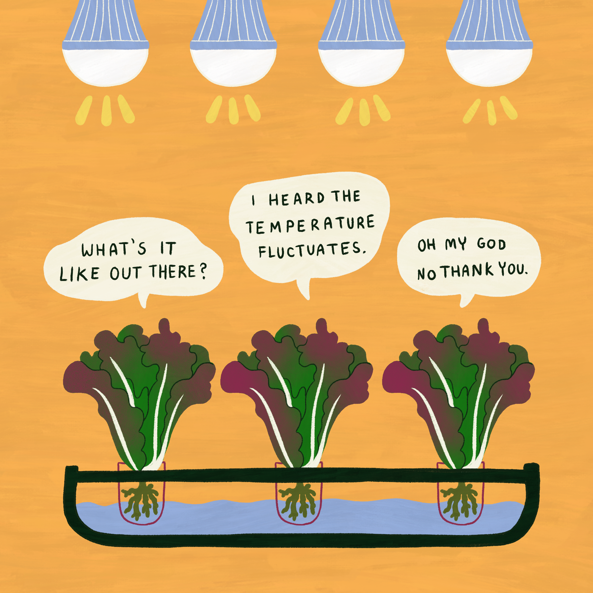 growbox.png