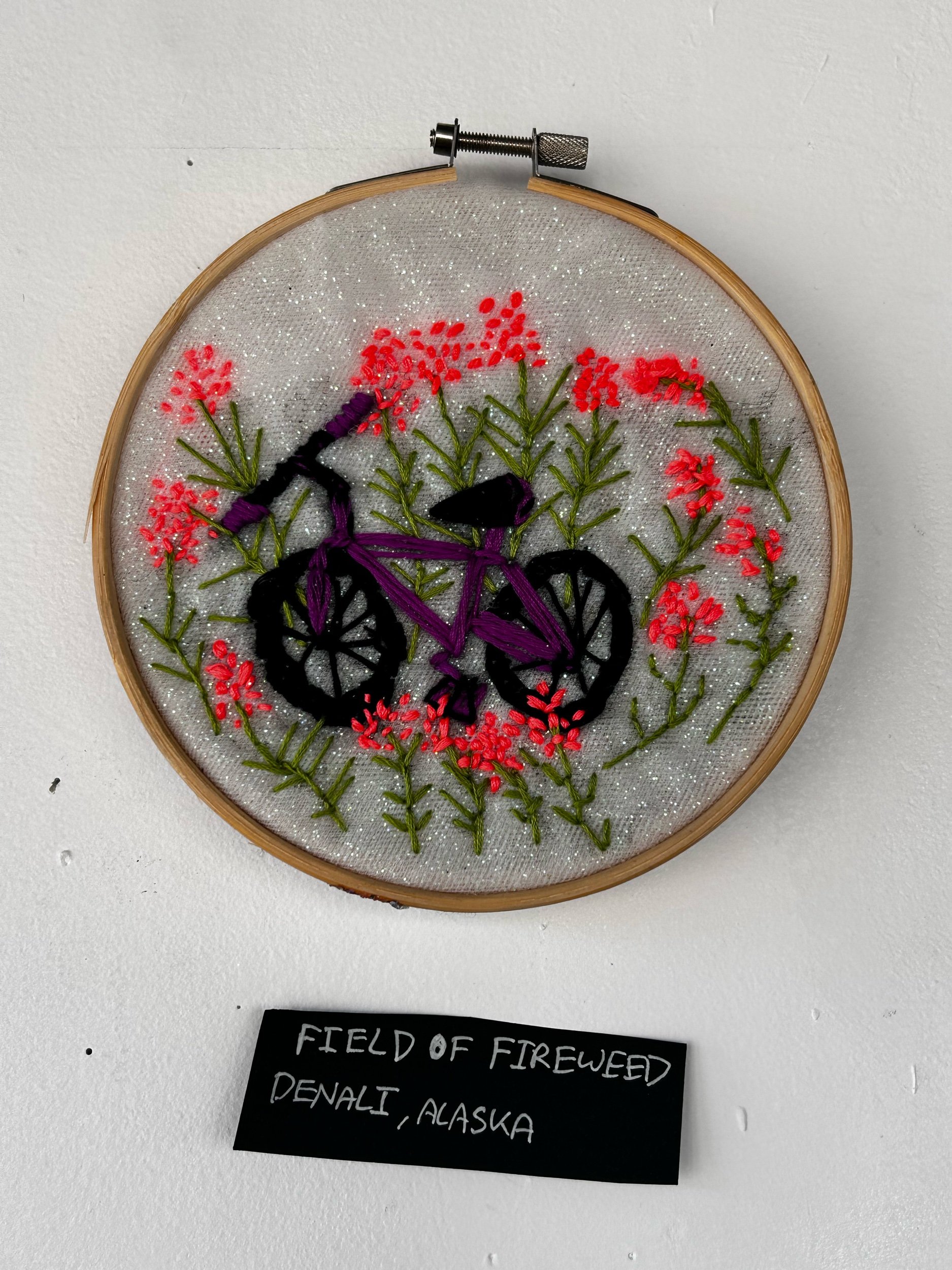 Field of Fireweed in Denali, AK, 2025