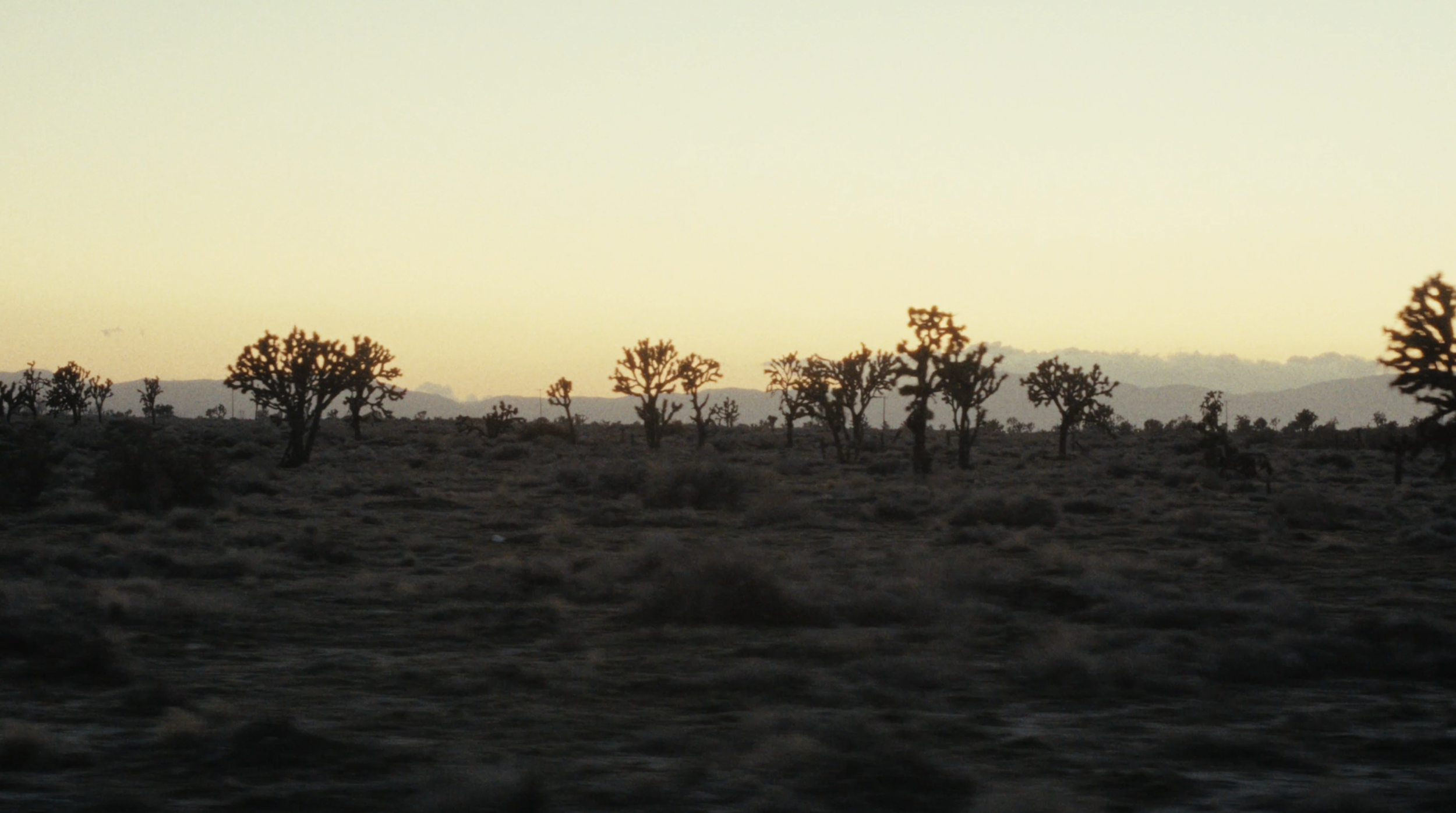 Screenshot 2026-03-13 at 4.49.57 PM.png