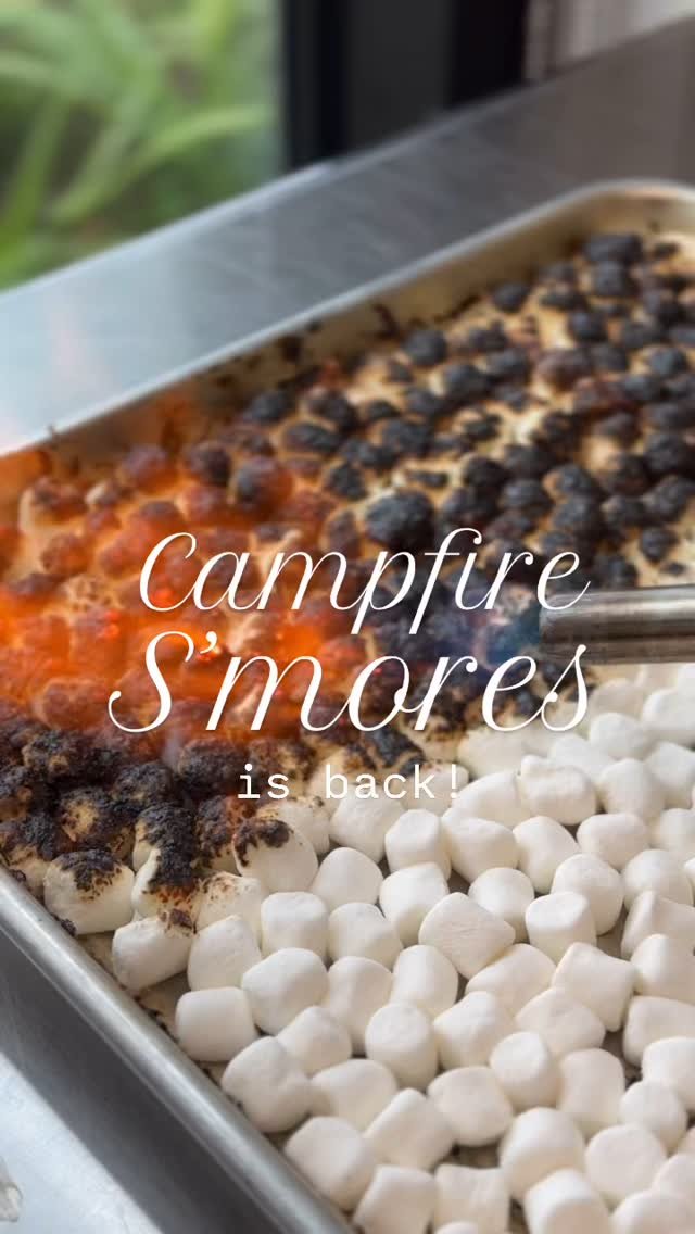 🔥🎓 In honor of our 2025 Graduating Staff, we asked them for their top flavors to bring back this month and ALL of them had Campfire S’mores on each of their lists!
One of our most requested for flavors by you is back for the month of May 🤗