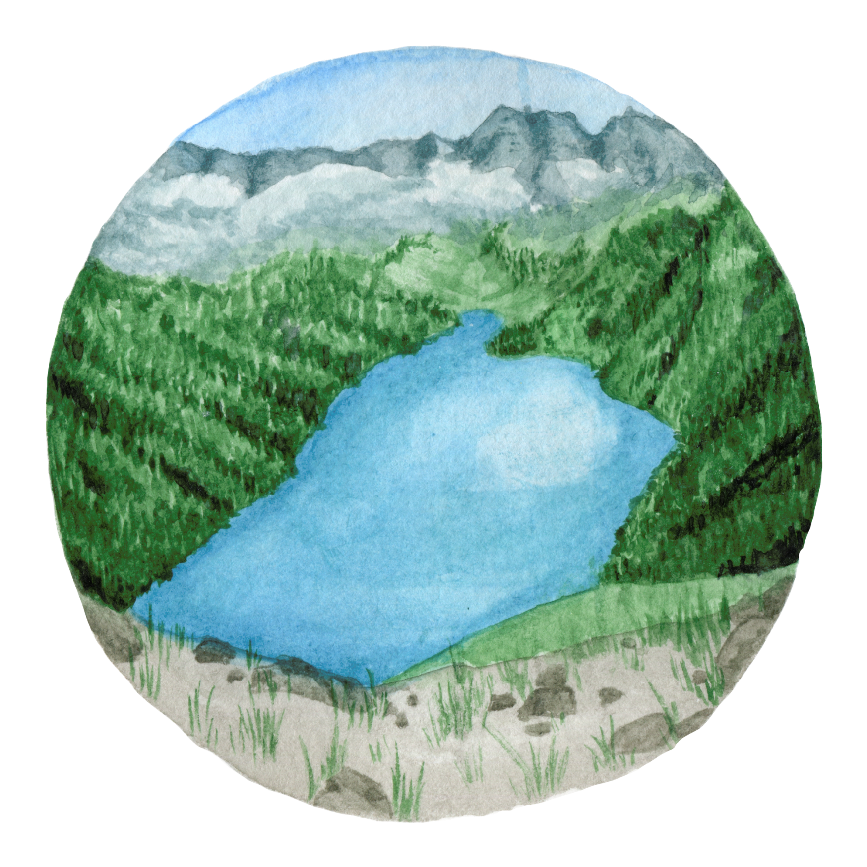 Ecosocialist Summer Camp 2026 (Unwaged/student)