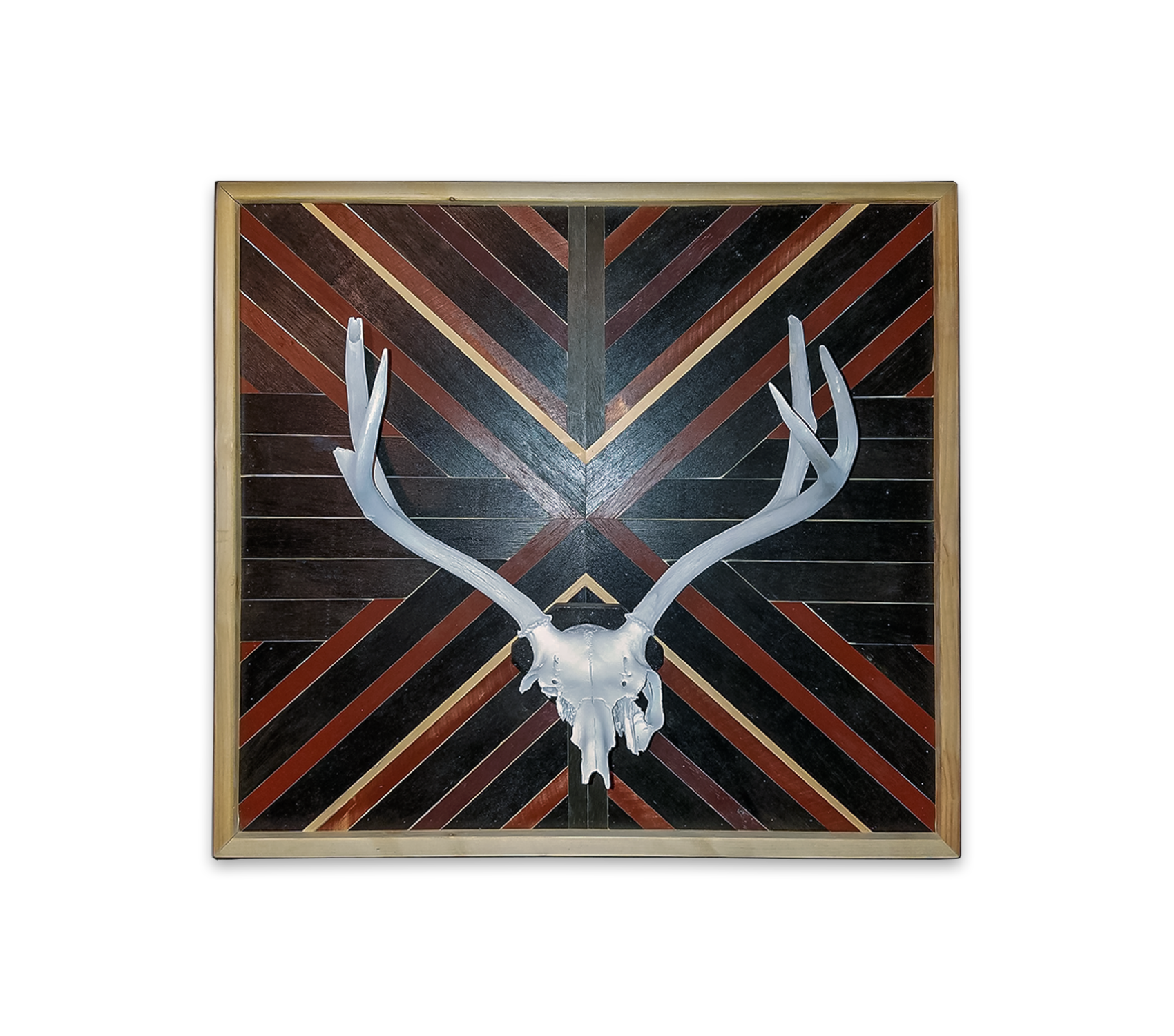 Antler European Skull Mount