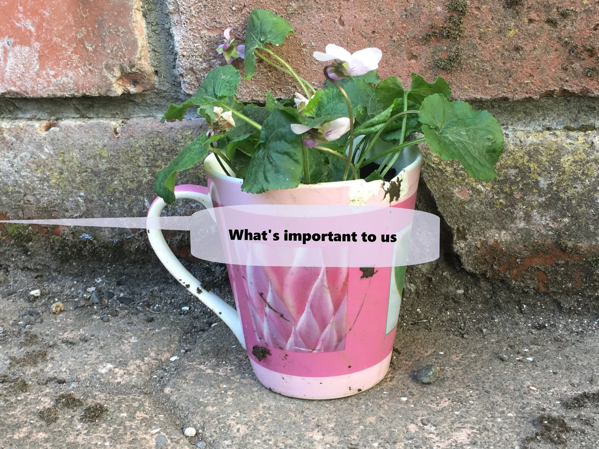 What's important to us.JPG