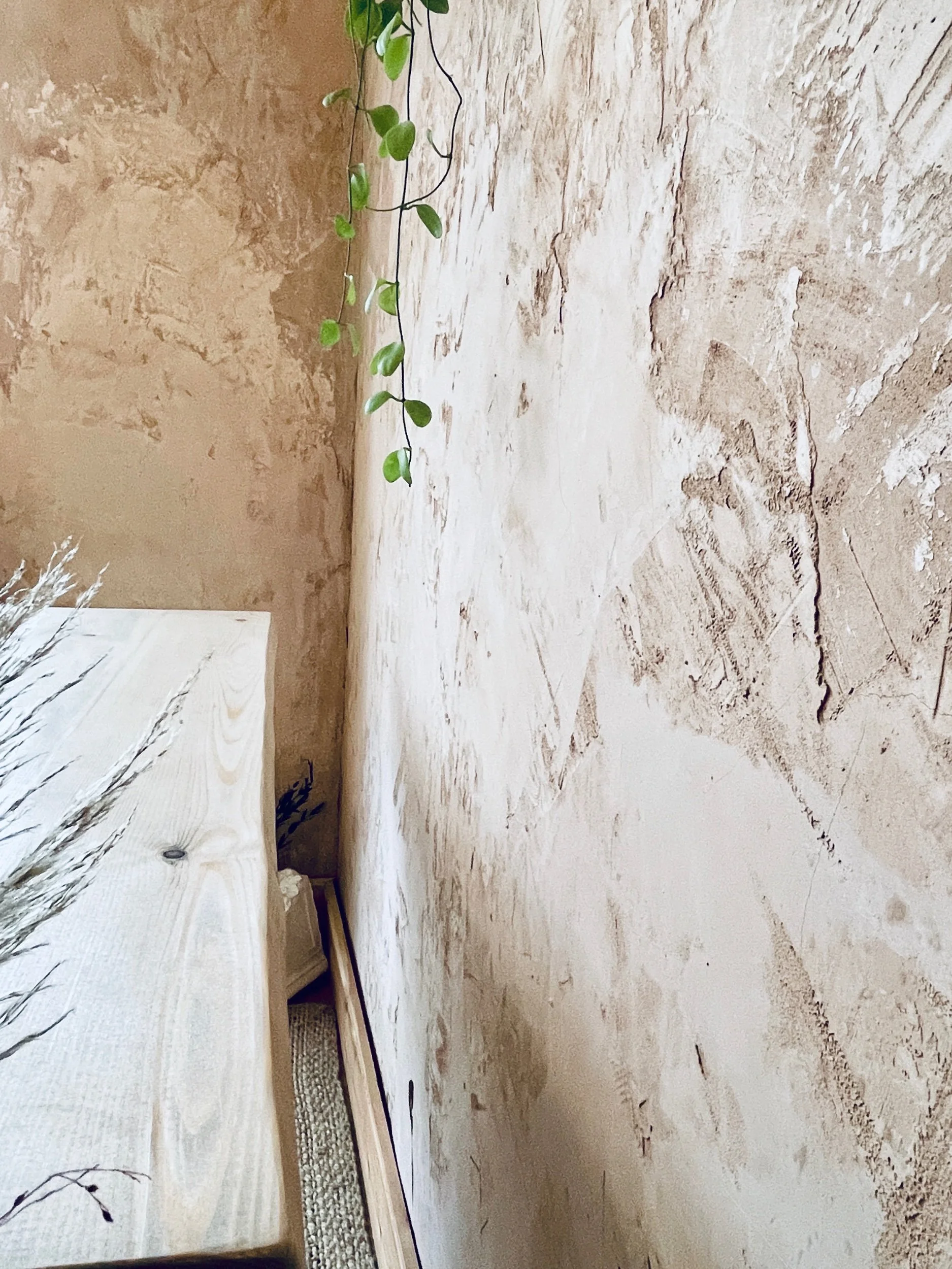 Textured plaster wall with hanging plant beside light wooden dining table edge