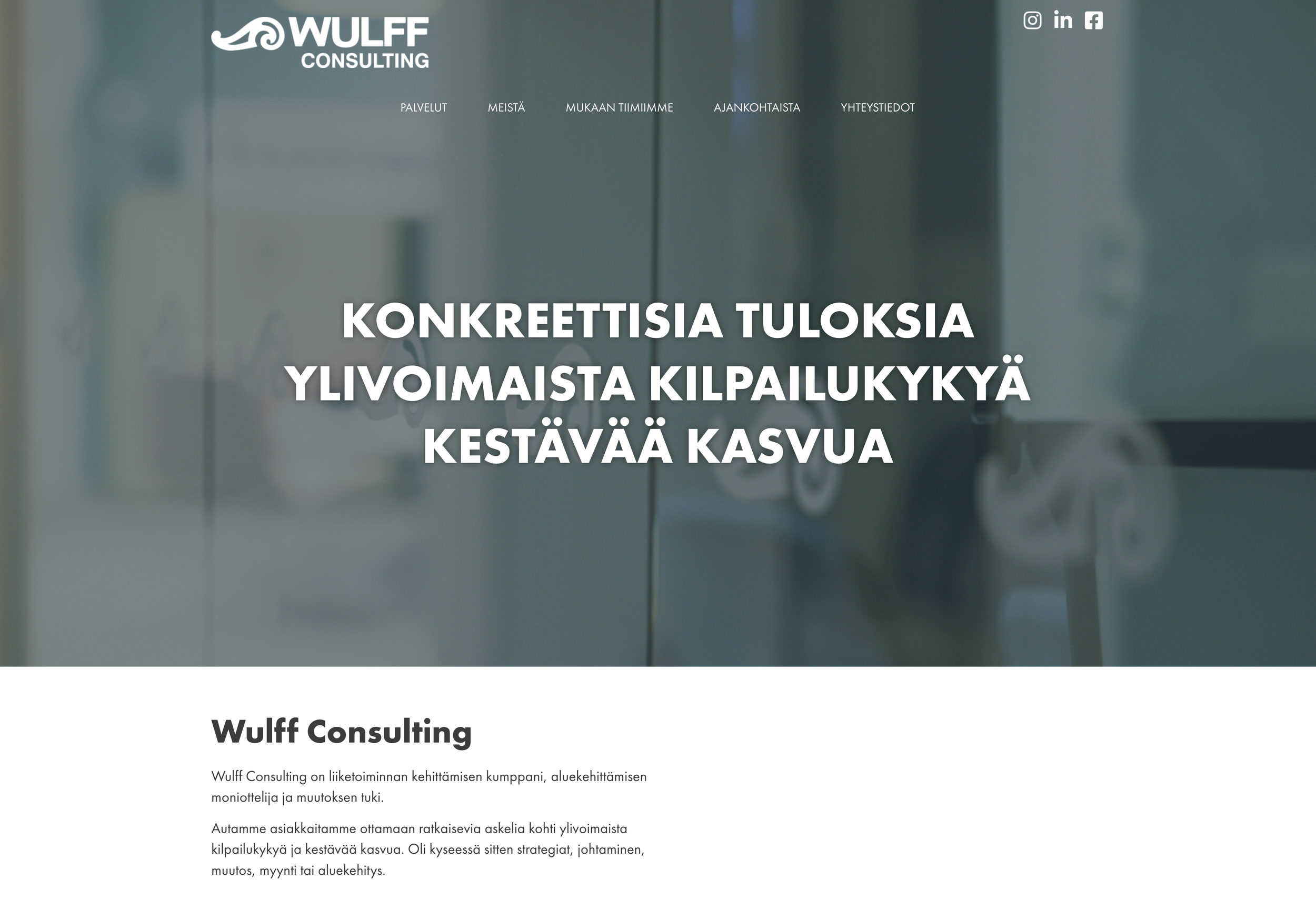 Wulff Consulting.png