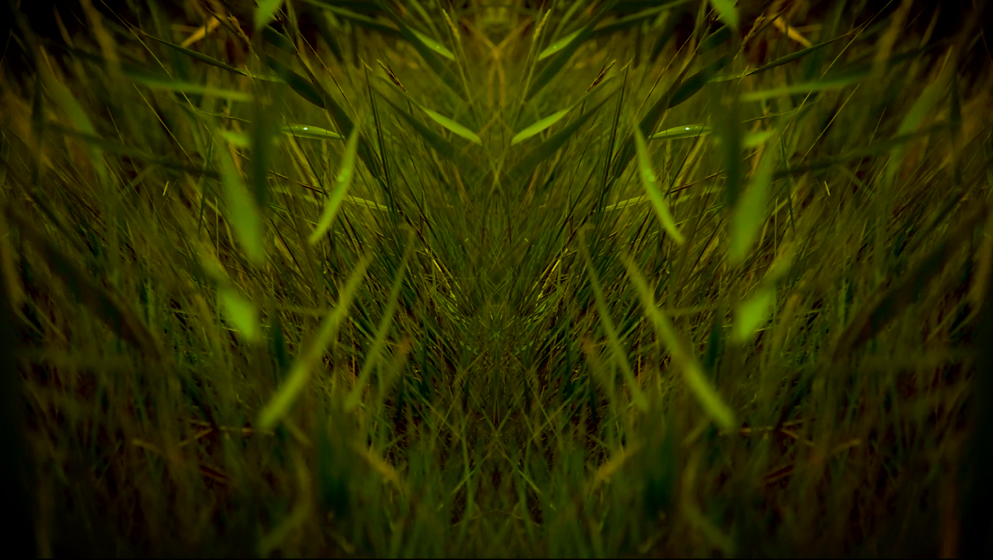 Screen Shot 2021-03-28 at 10.30.44.png