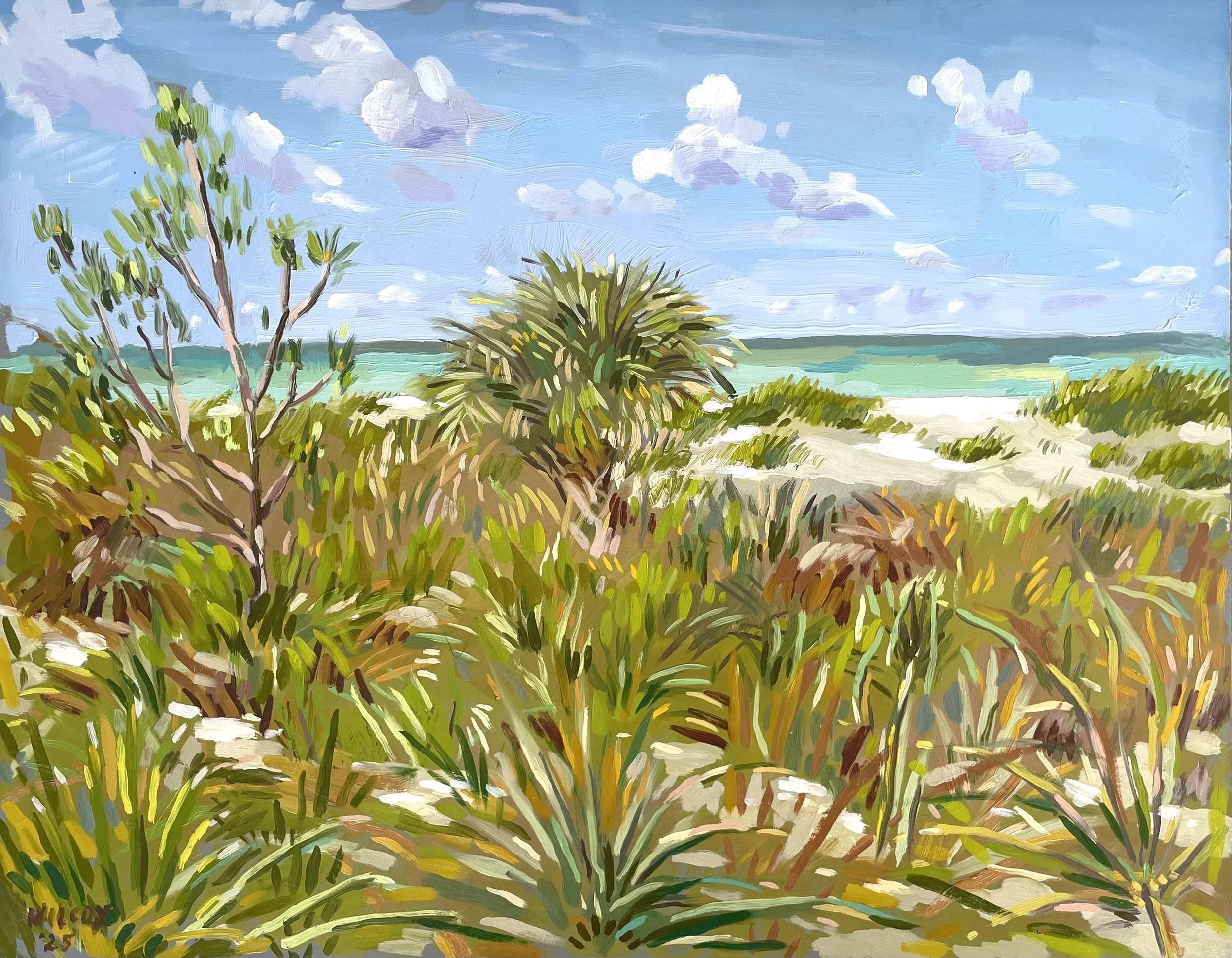 Service Club Park - Venice, Florida 