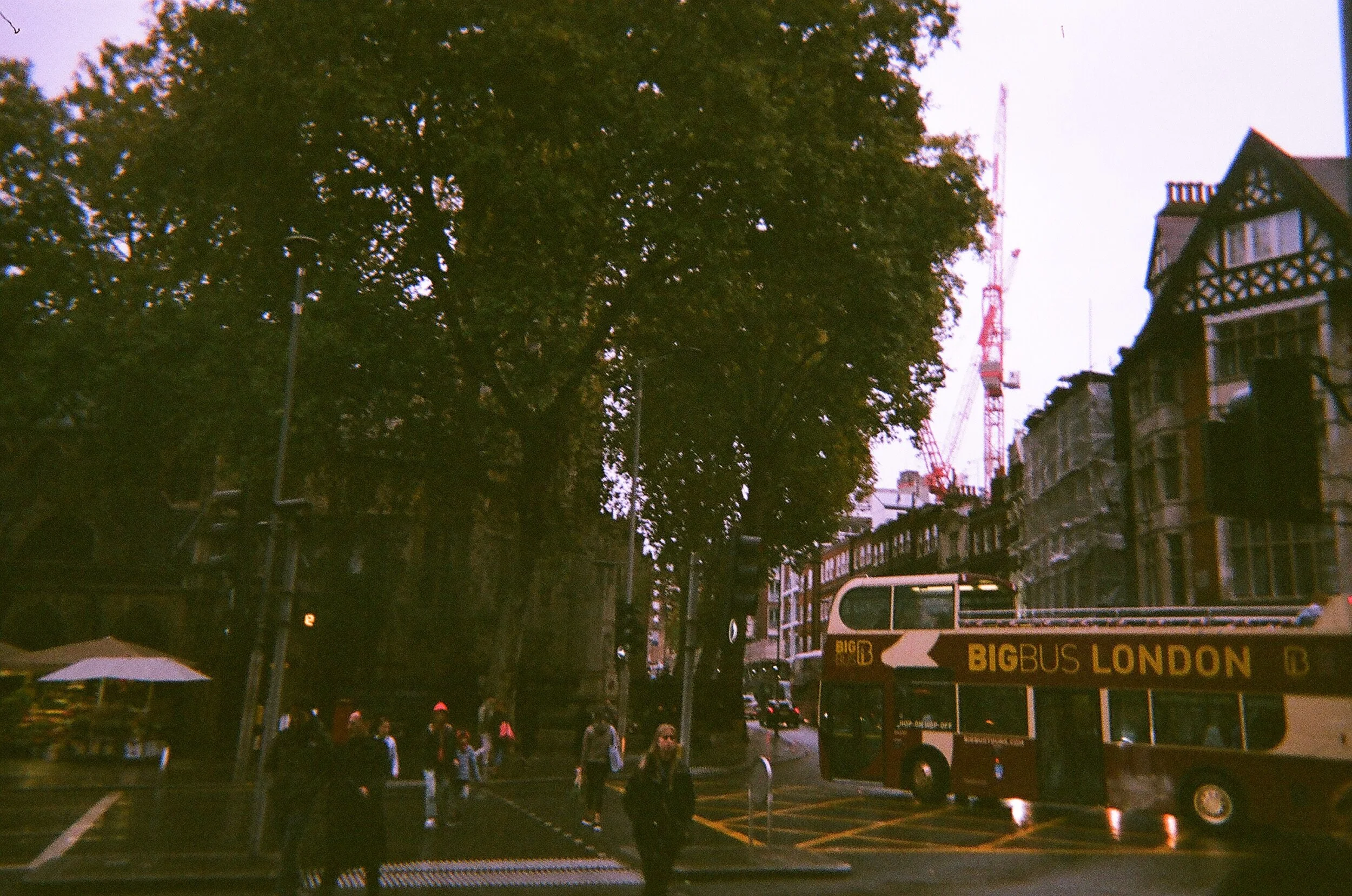 47180014.JPG