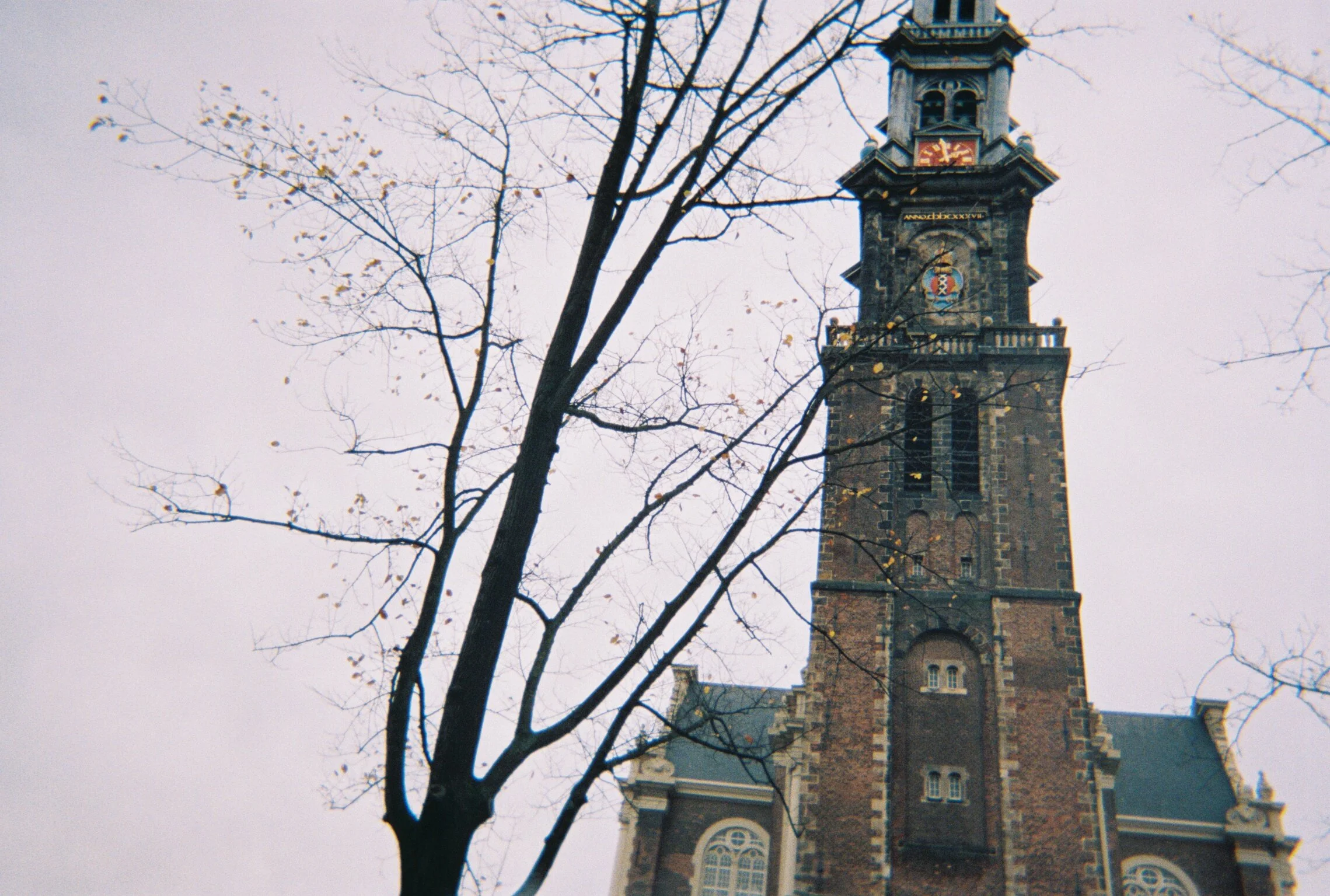 R1-09973-013A.JPG