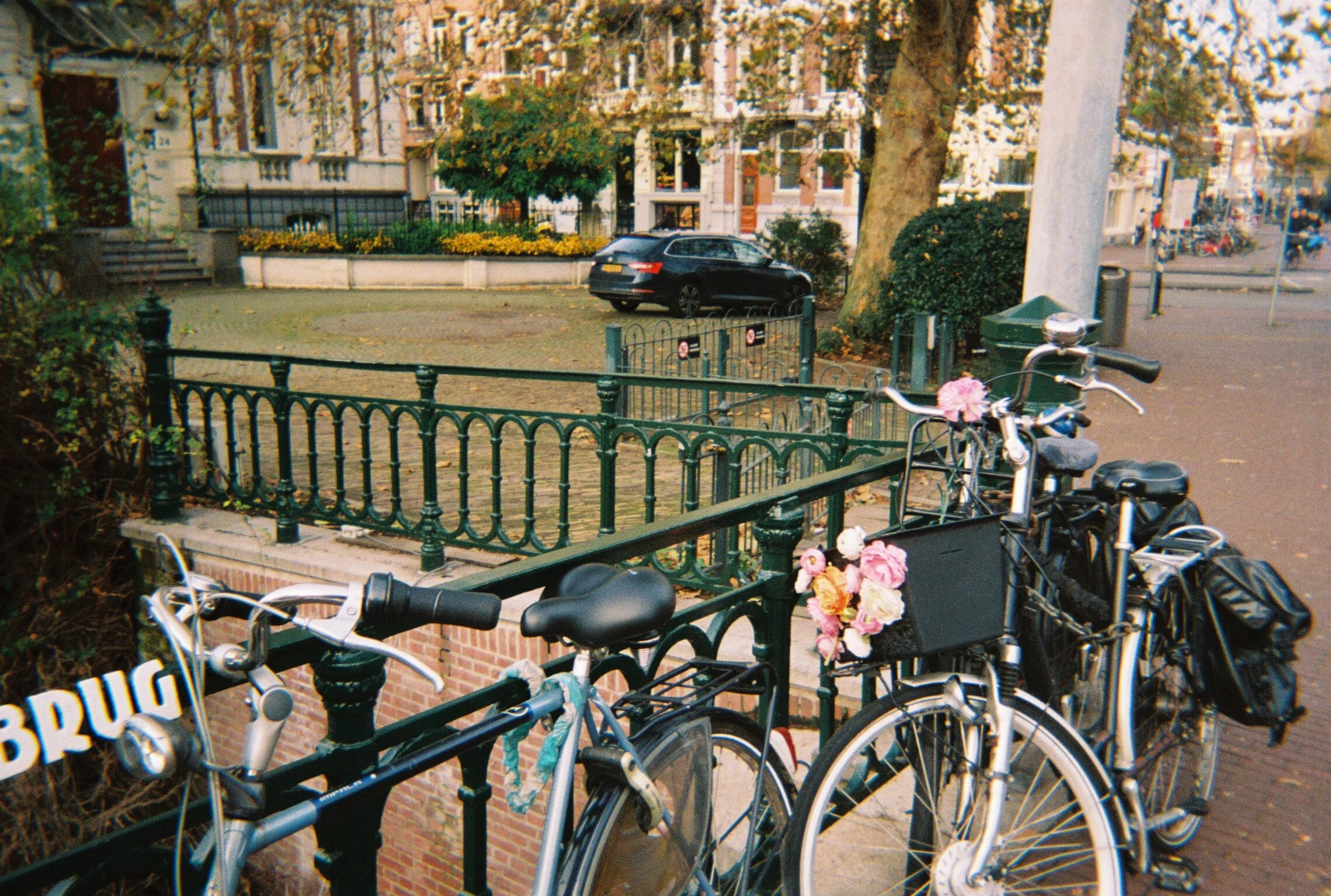 R1-09974-022A.JPG