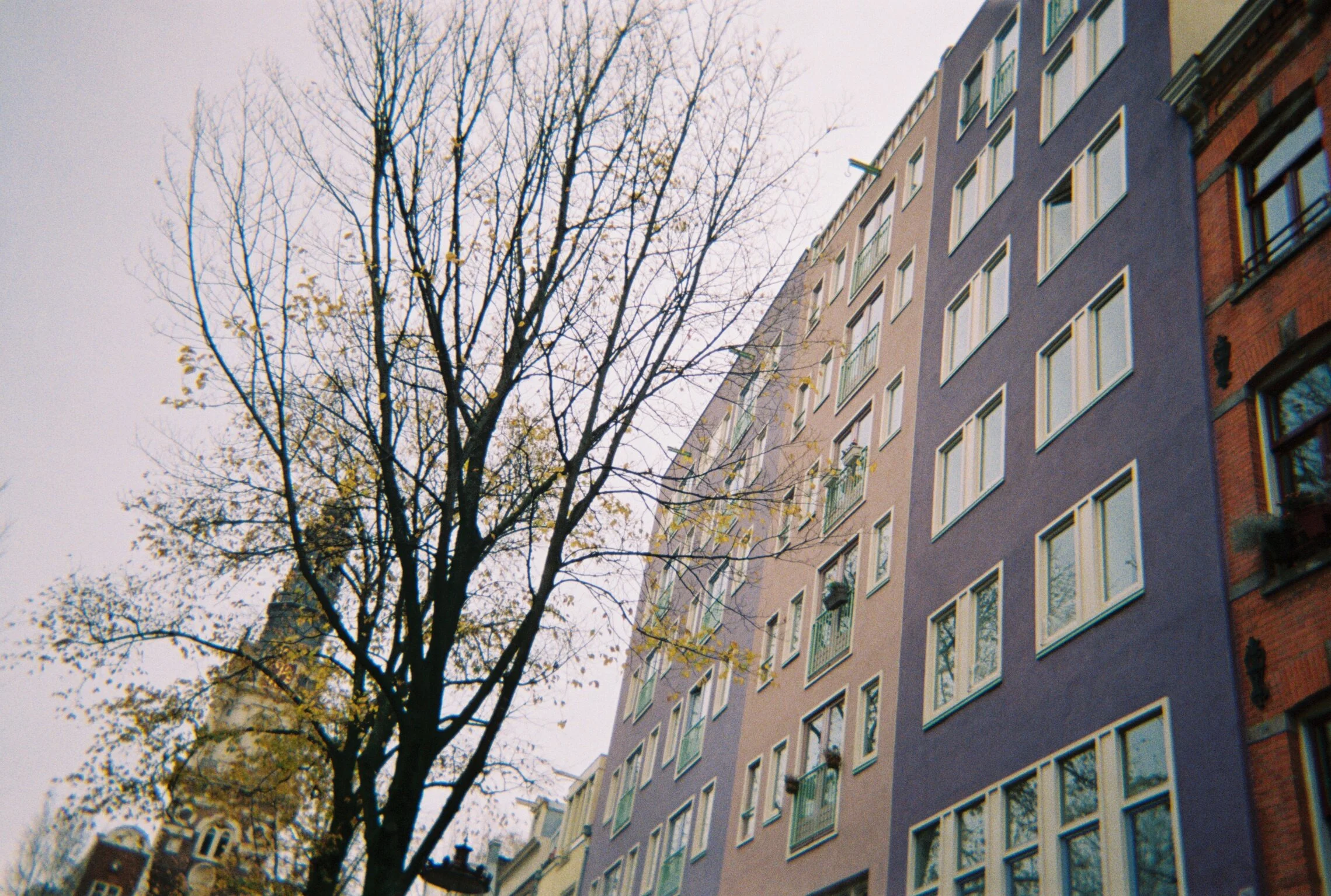 R1-09973-021A.JPG