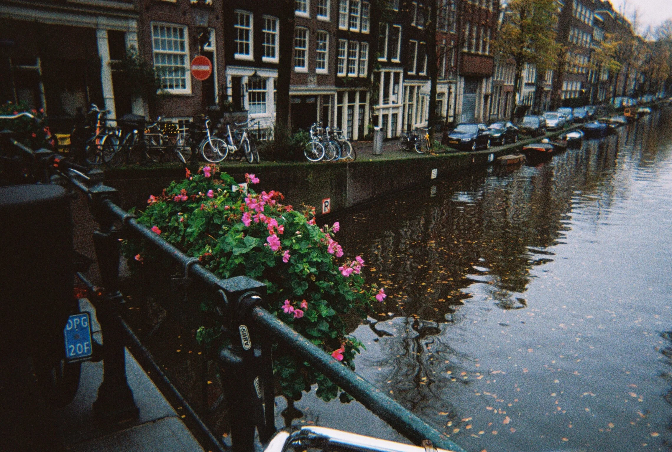 R1-09974-008A.JPG