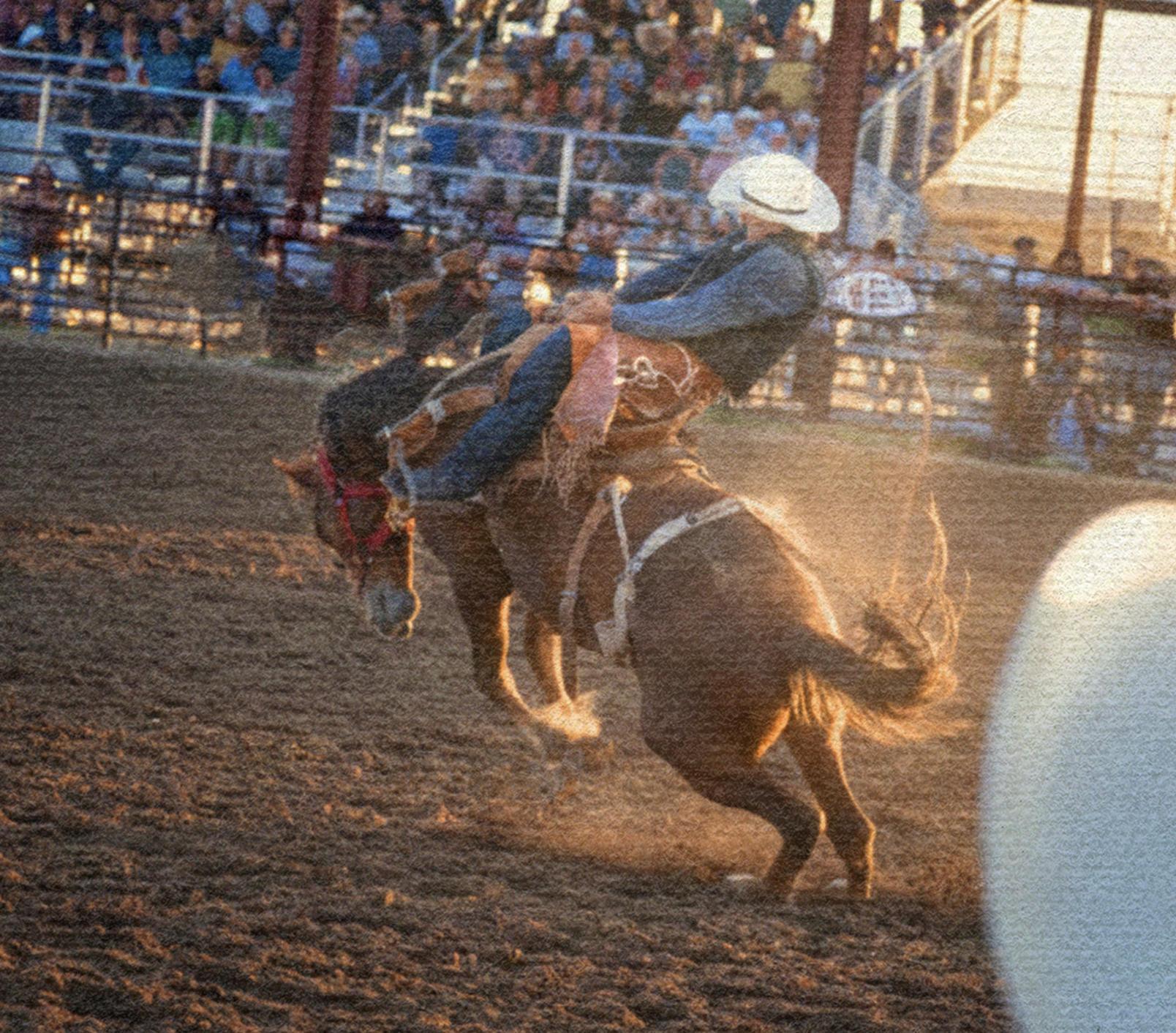 VISIT CHEYENNE // CLICK TO VIEW