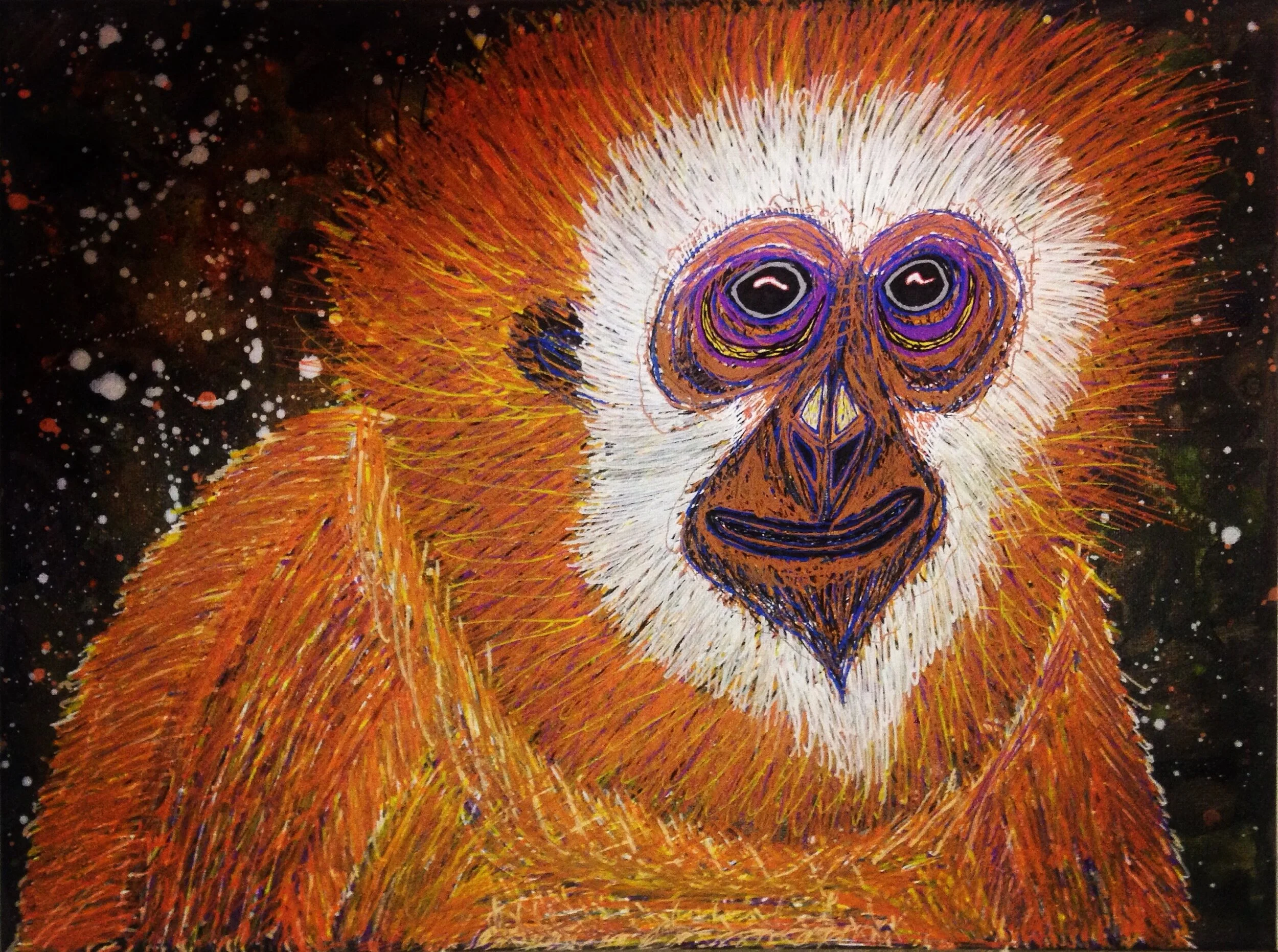 Orangutan