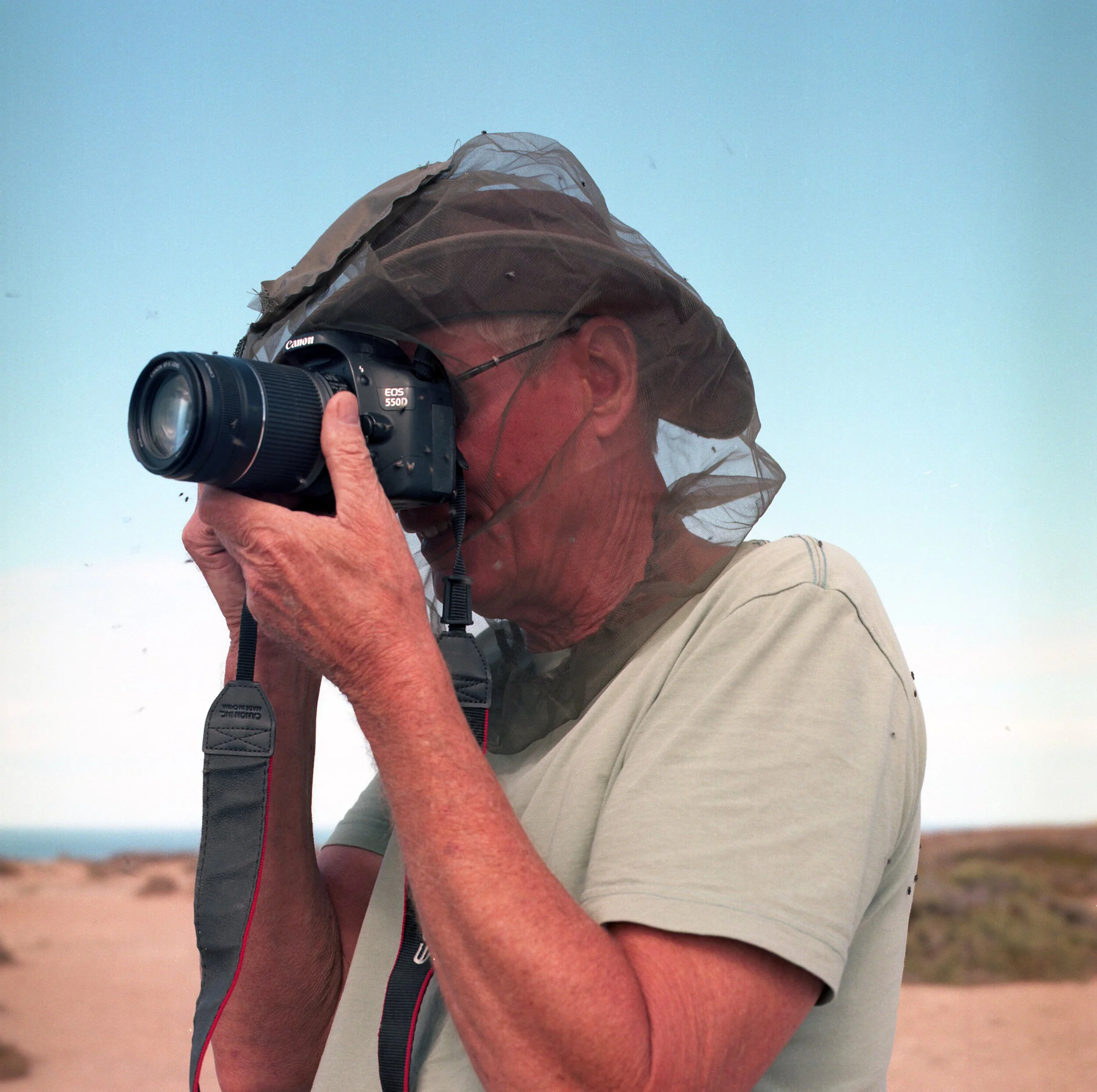 nullarbor4.jpg