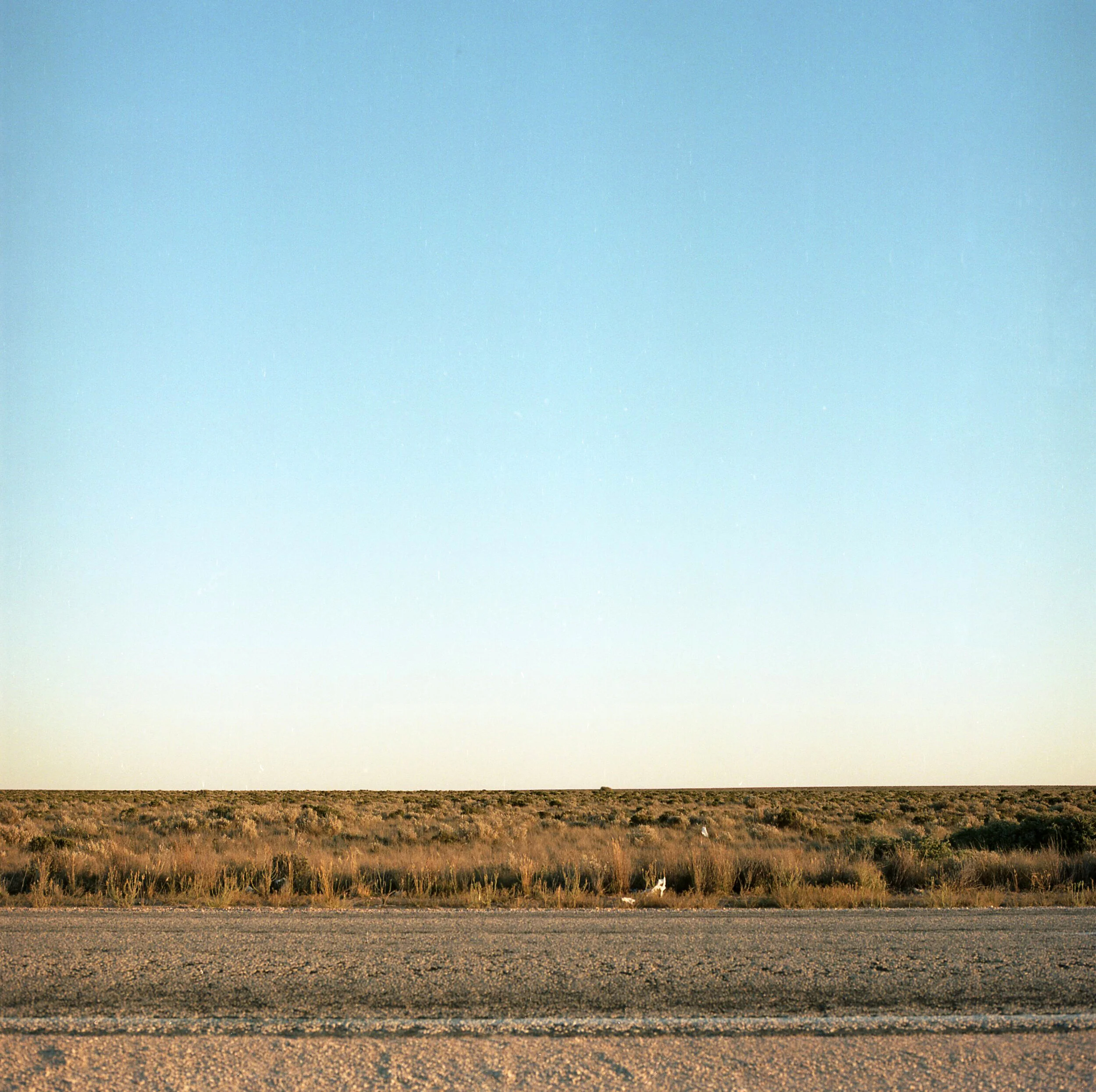 nullarbor5.jpg