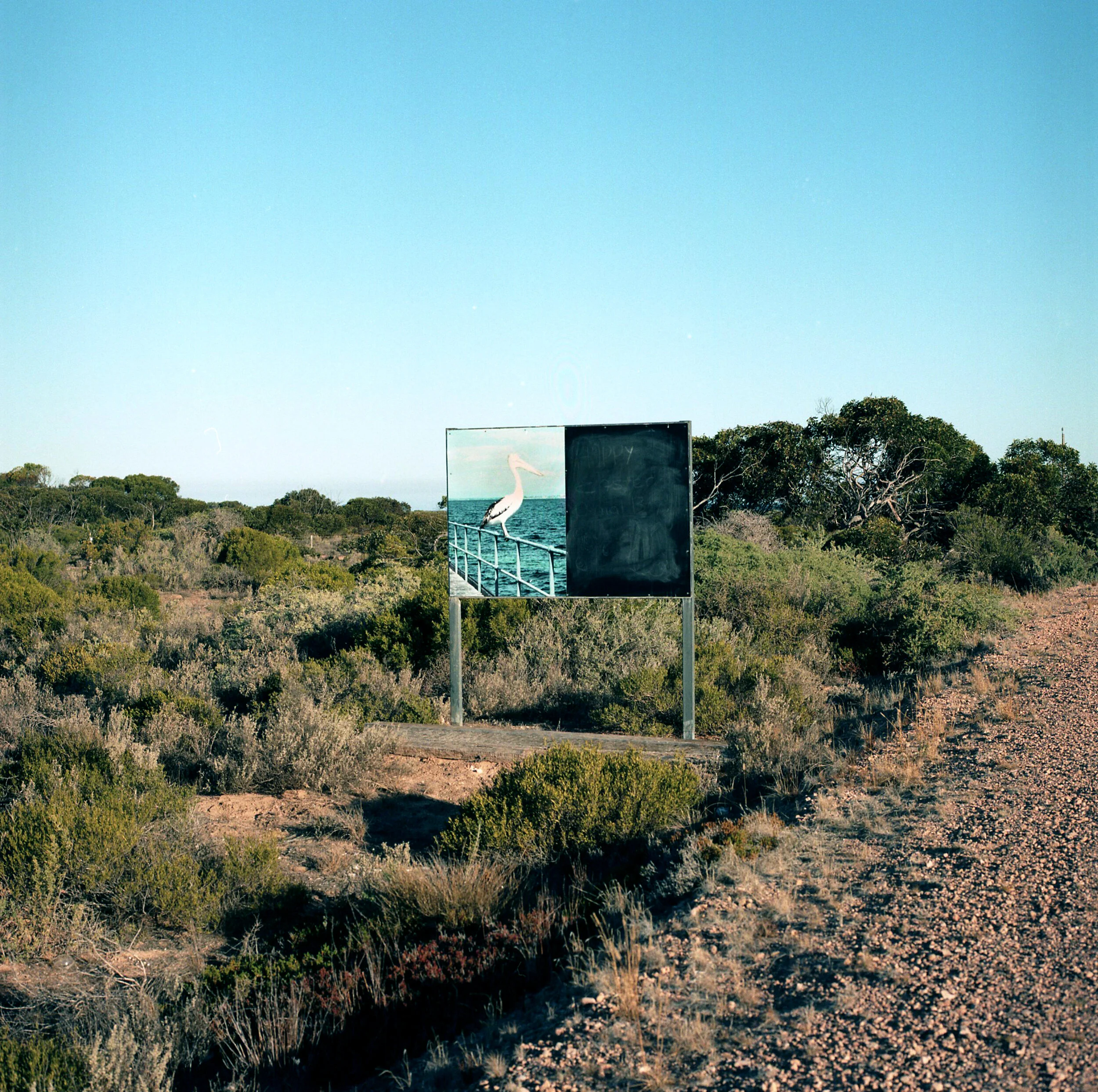 nullarbor15.jpg