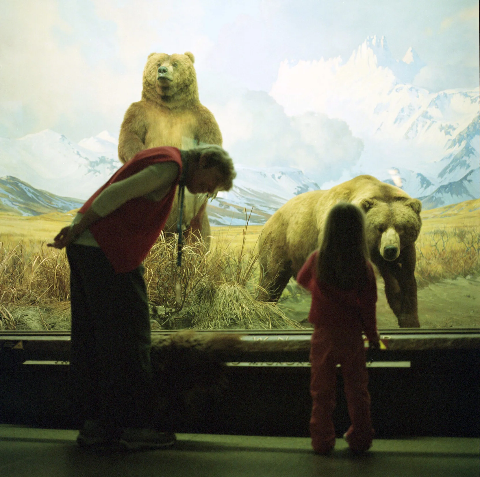 img129.jpg