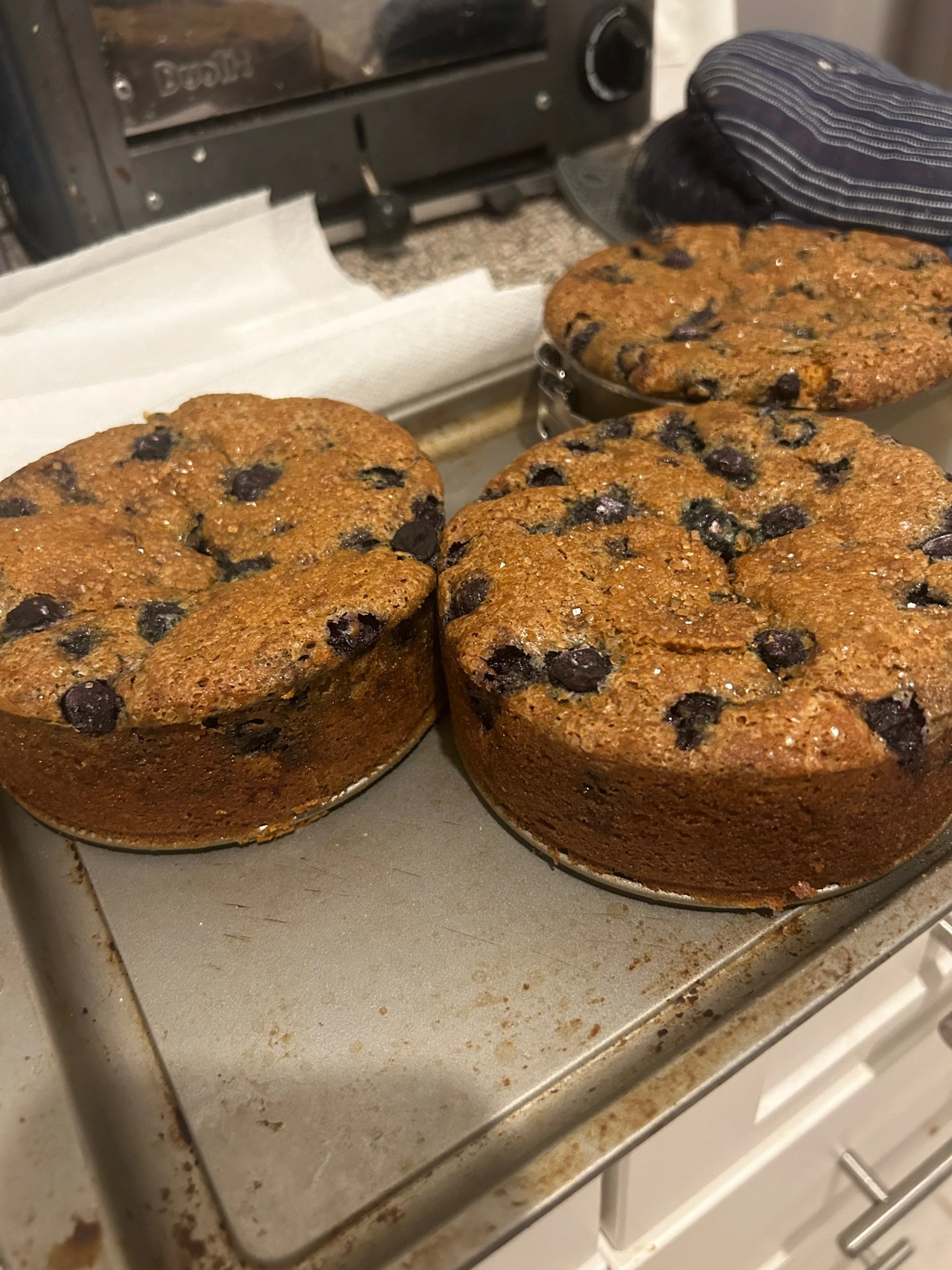 4.22.24 blueberry cake w/ cream cheese filling