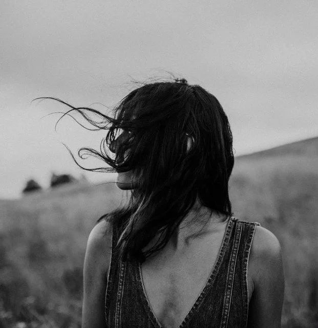 Tania Pereira - Sauce Llorón.jpg