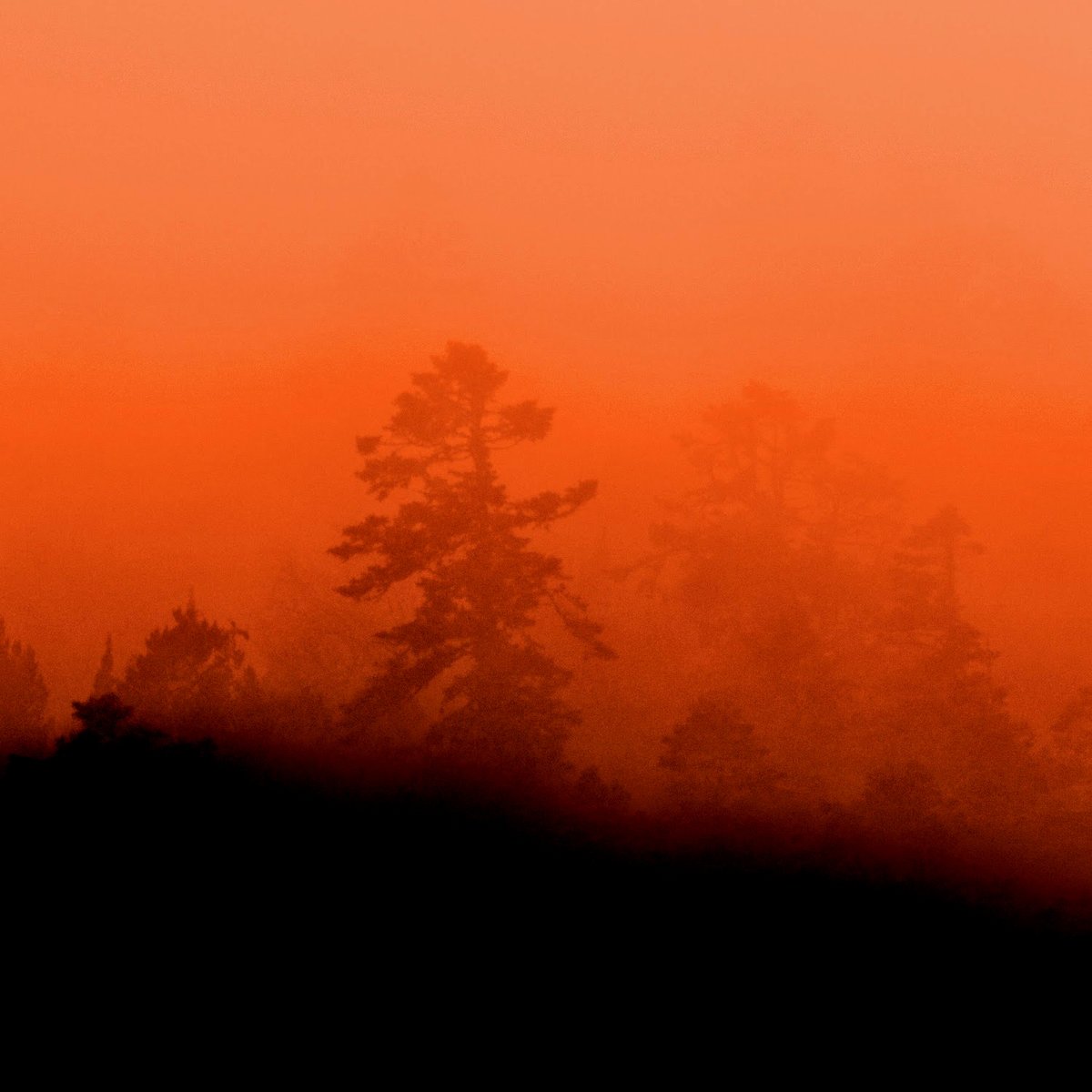 I am your wife The Spidergoat Lullaby.jpg