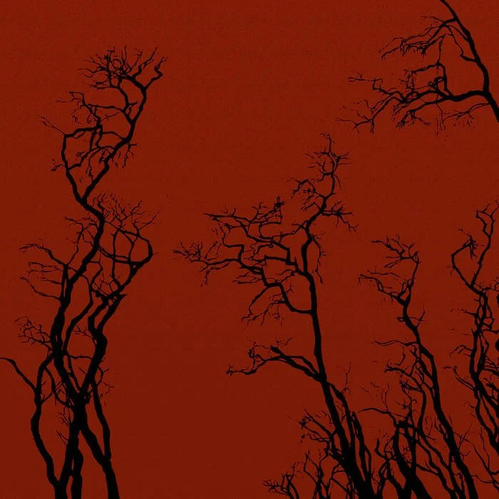 jakob - solace LP.jpg