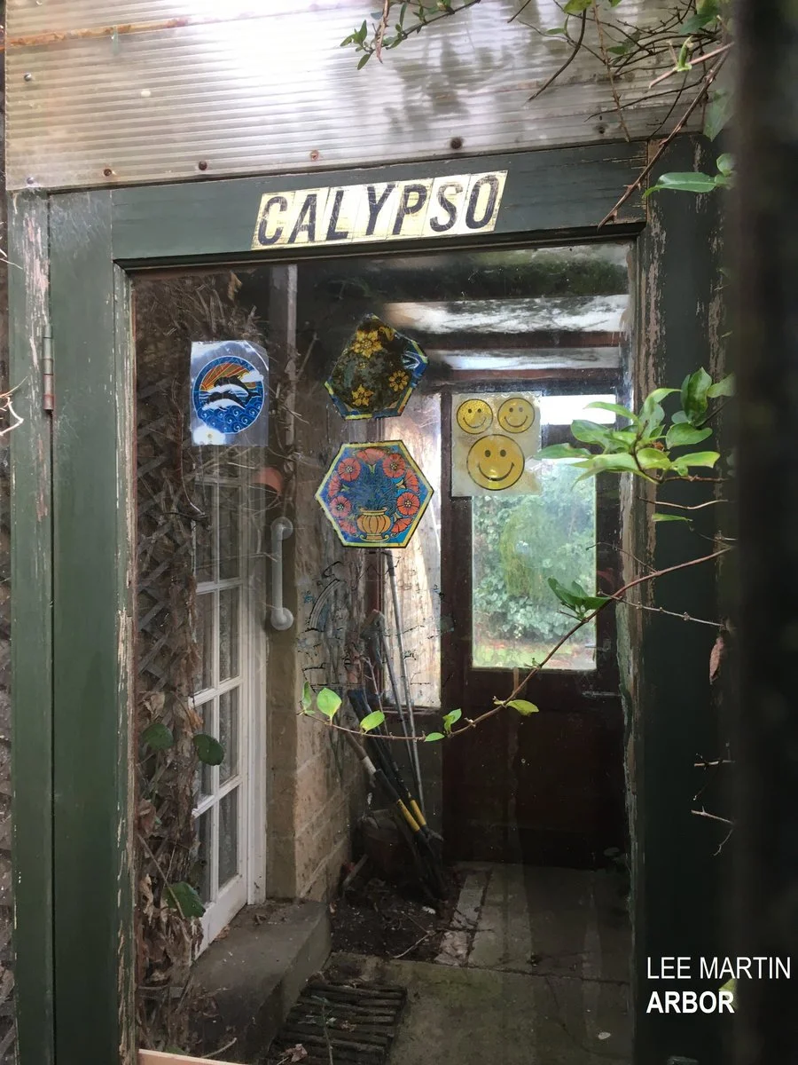 Lee Martin - Arbor (single).jpg