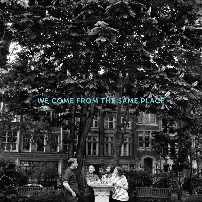 Allo Darling - We come from the same place LP.jpg