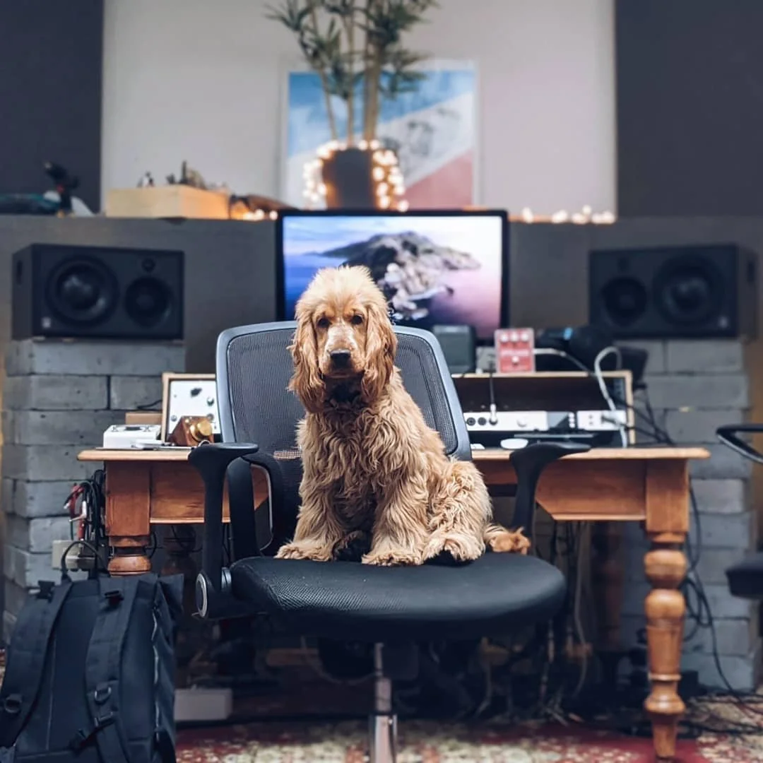 Expert help today balancing the top end. #ruffmix

Thanks to @luciemeiselle for letting Greta hang out!

#studiodog #photooftheday #cocker #spaniel #recordingstudio #music #bigears #furrybuddy #recording #studio #studiolife #musicproduction #musician