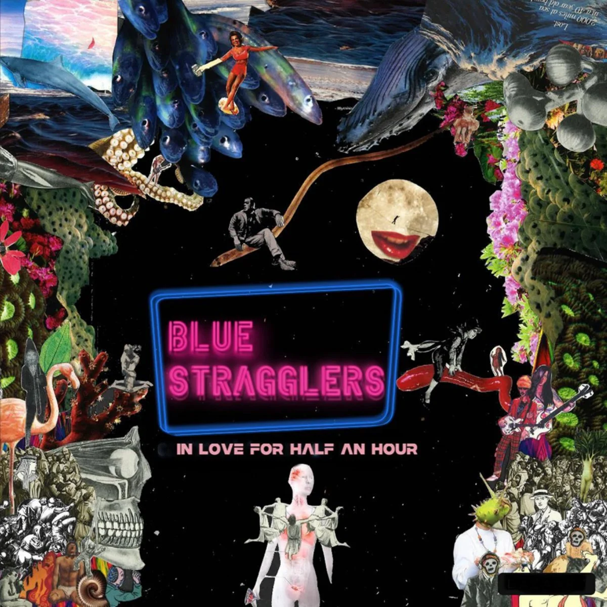 Blue stragglers in love for half an hour.jpg