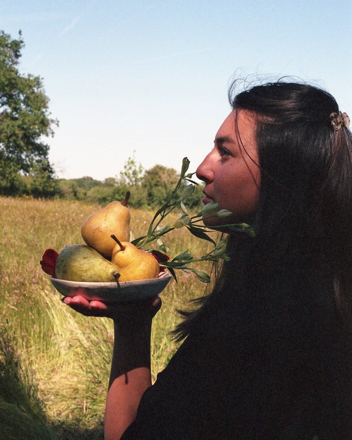 ₊ ⁺₊ Portrait aux poires sur fond rouge ✸ 
✸𓃫✸
Je ne suis pas primeur, 
J&rsquo;aime juste les fruits, les fleurs et l&rsquo;association des couleurs -

(𓁿 - @sensibleries_ )