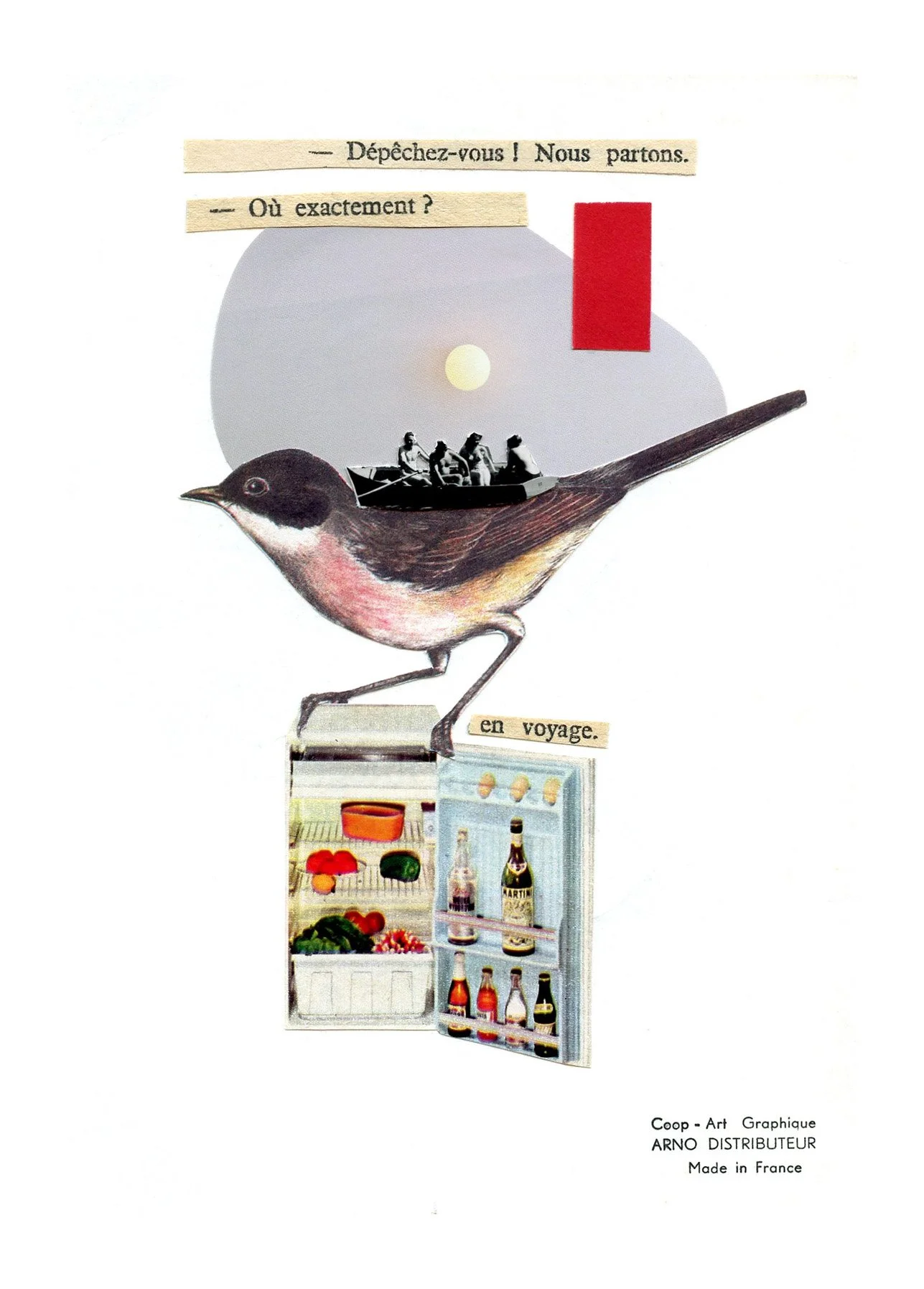 en voyage a dos d'oiseau.jpg