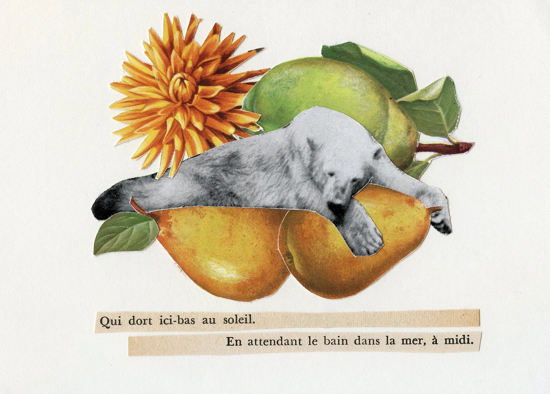 ICI BAS AU SOLEIL MARGE.jpg