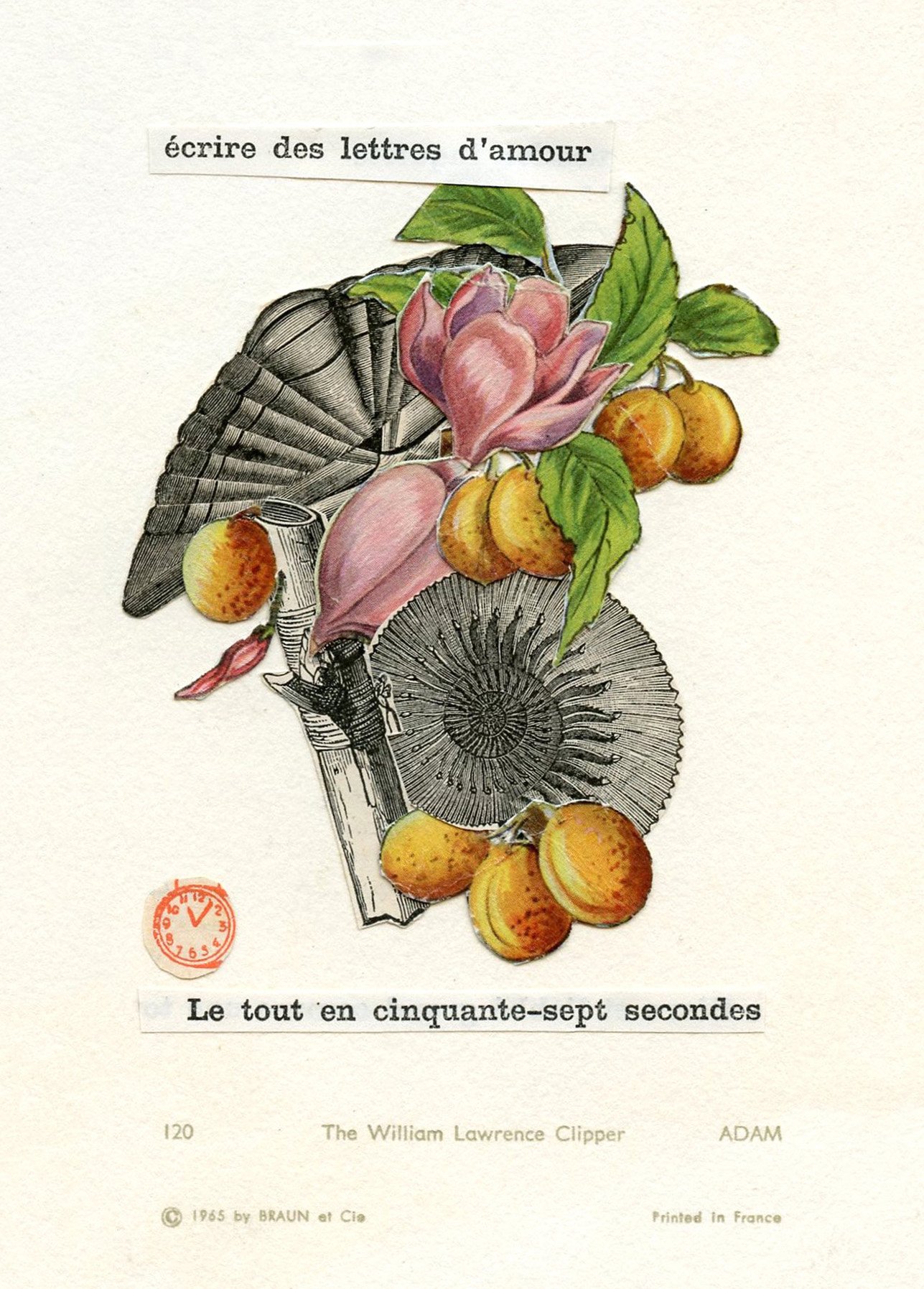 ECRIRE DES LETTRES MARGES.jpg