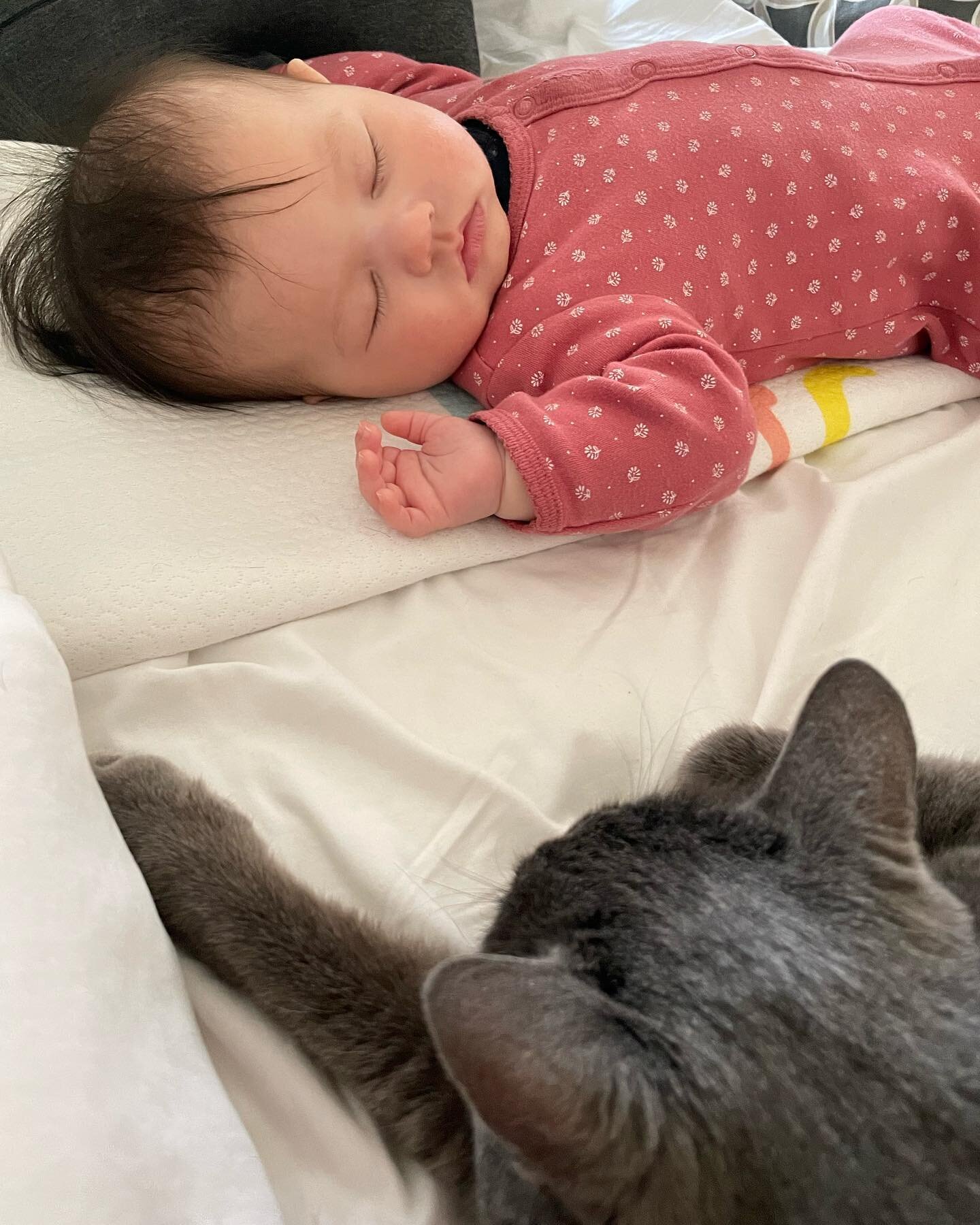 A budding friendship is growing between these two. 🥰🥰