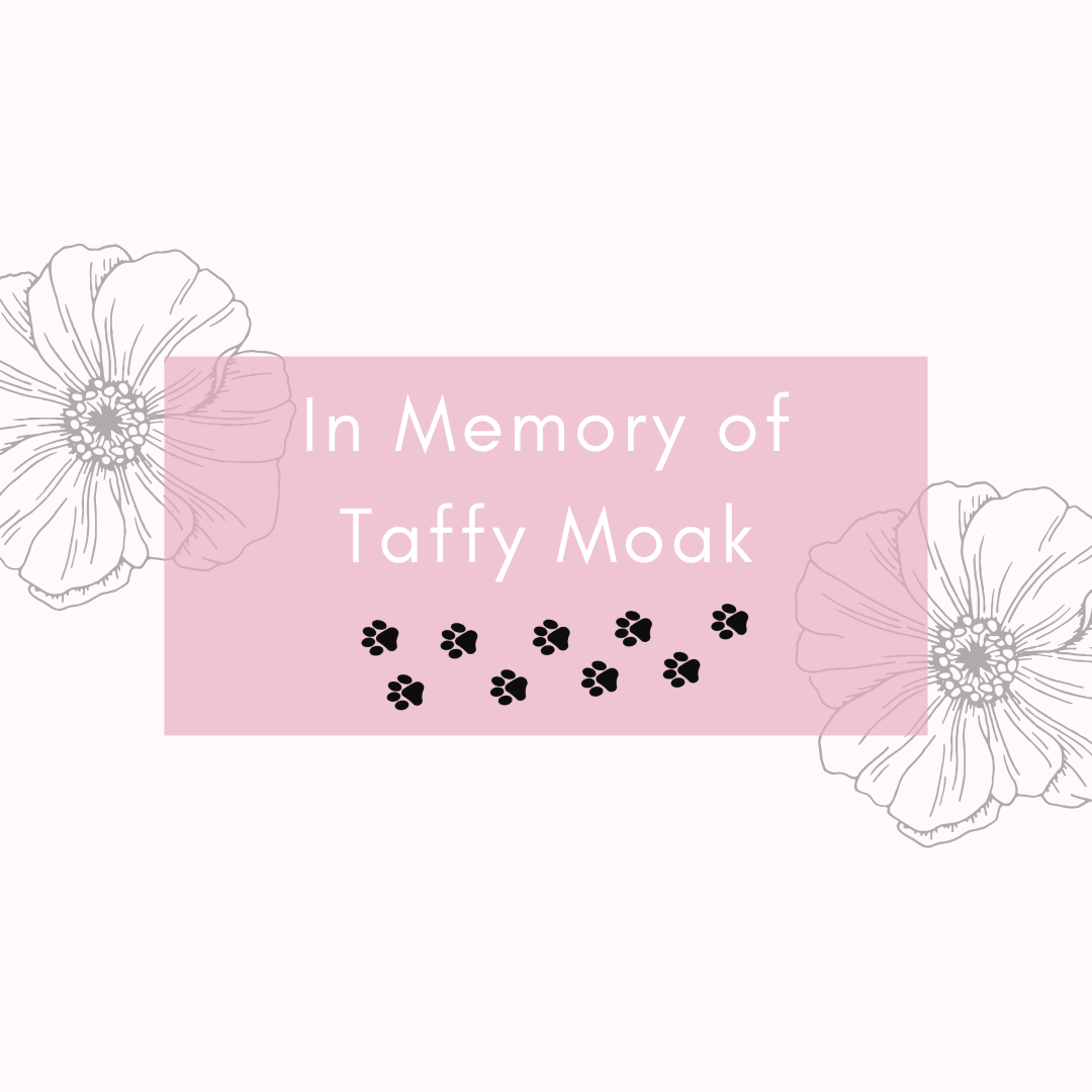 In Memory of Taffy Moak