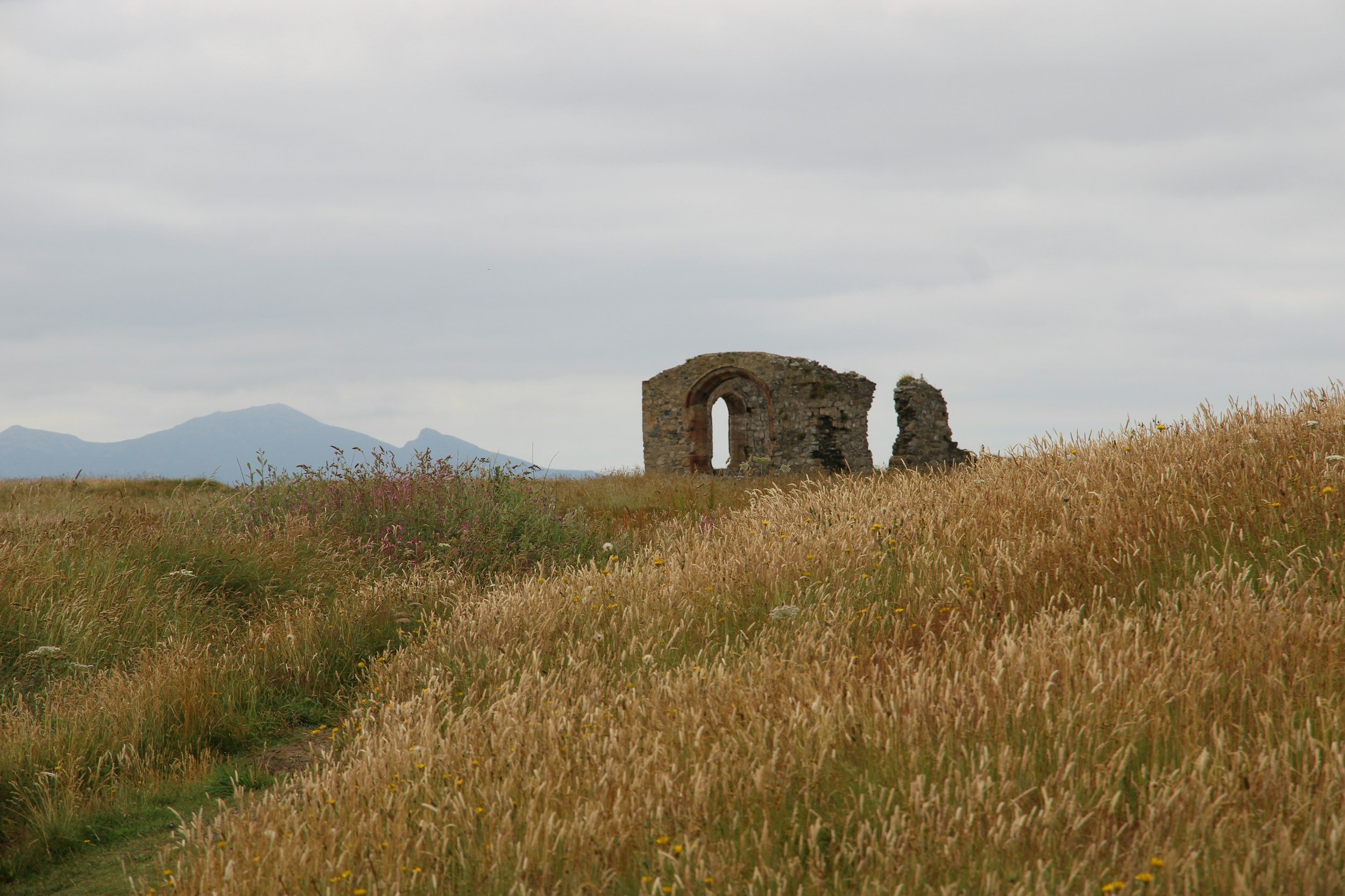 Ruined stone farmhouse on a hillside in the Welsh countryside, the setting for new build houses in Areas of Outstanding Natural Beauty
