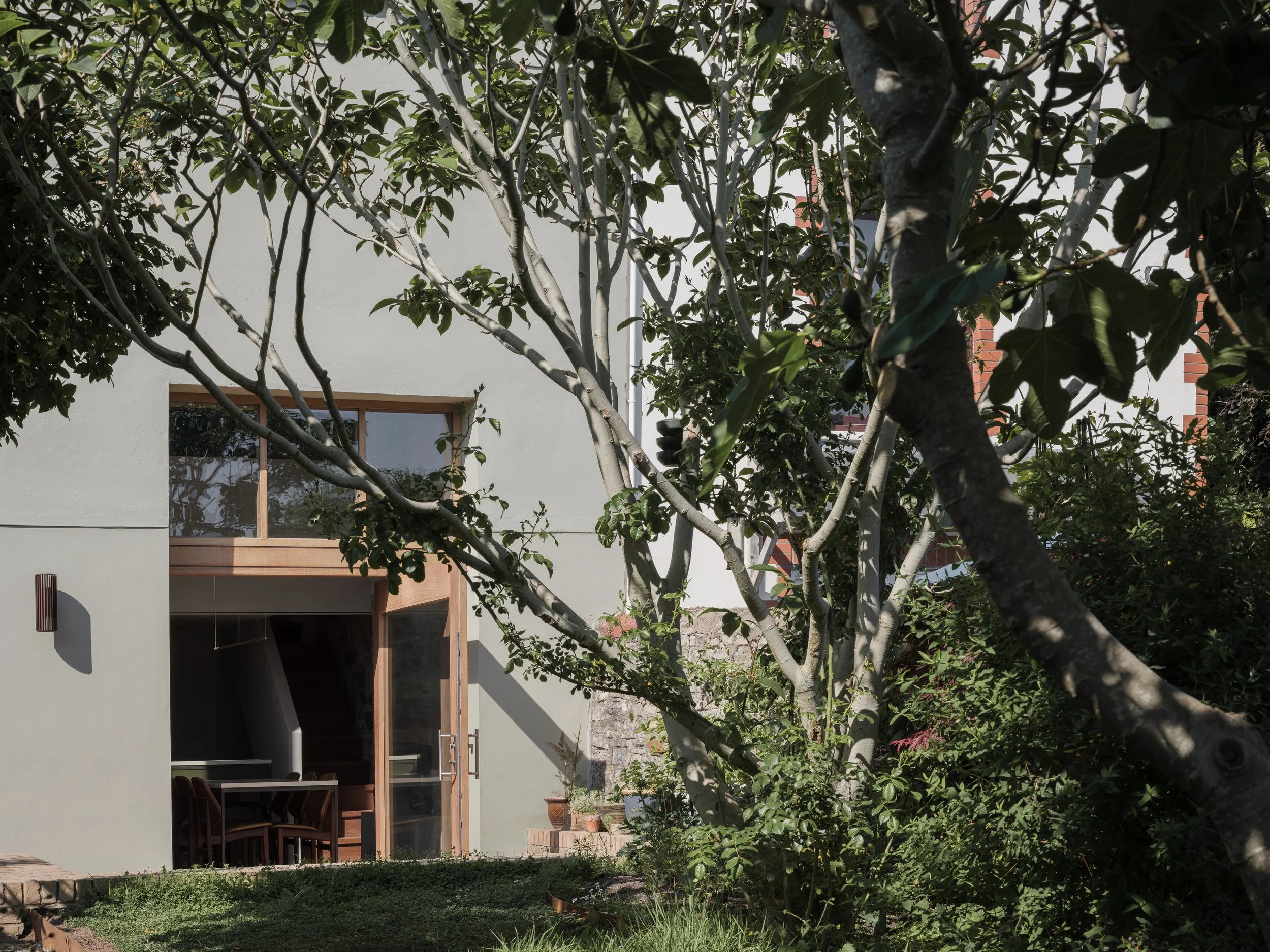 iroko door, fig tree, sunken garden, brick pavers