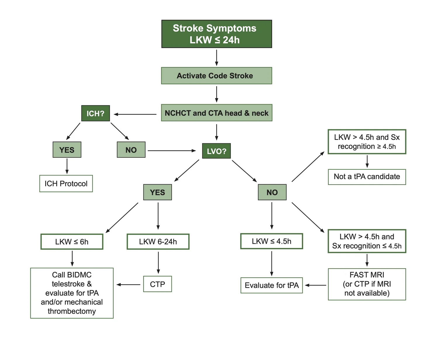 Stroke Codekit Code Stroke — RadClarity