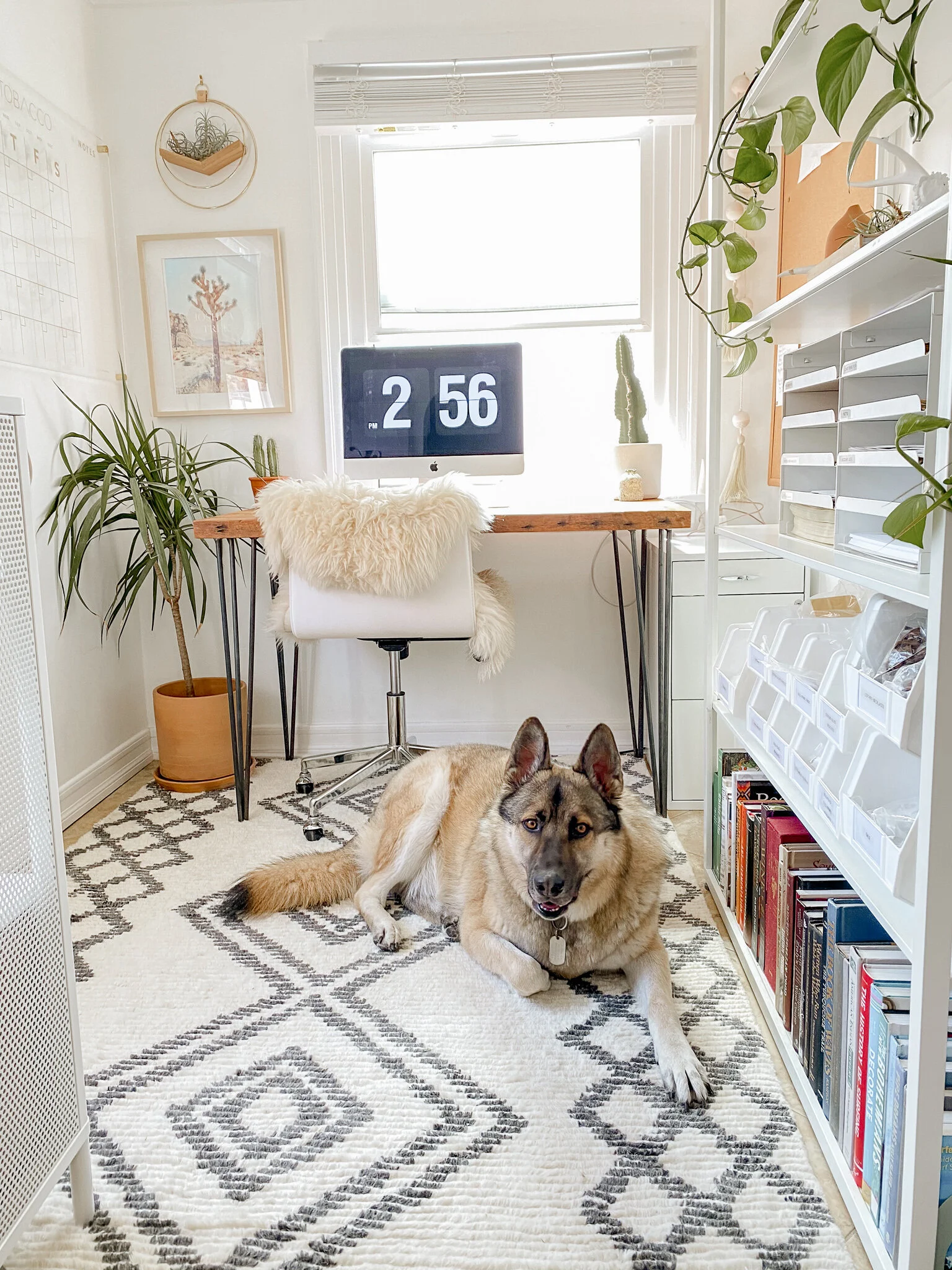 How to Refresh your Home Office in Three Easy Steps. Blanco Bungalow.jpg