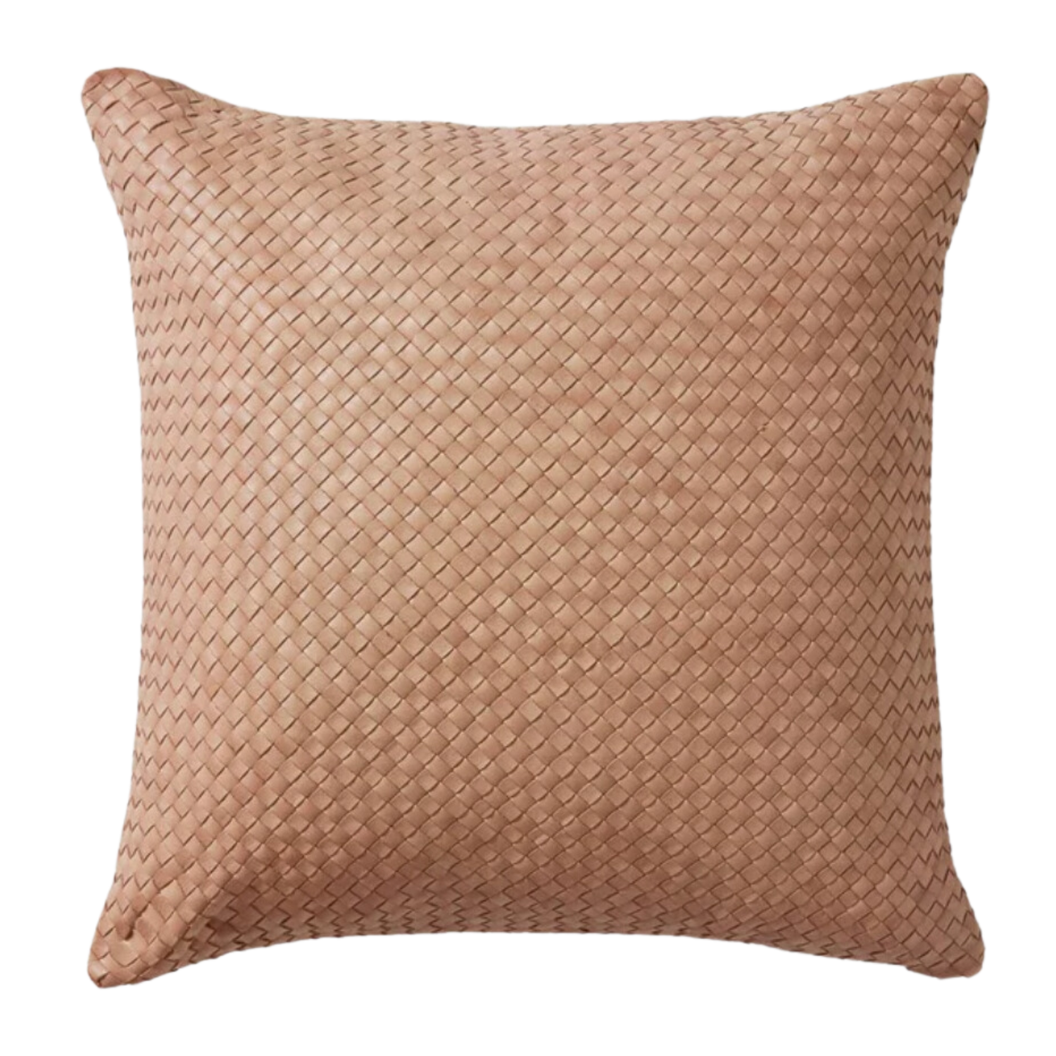 Dhara Leather Pillow