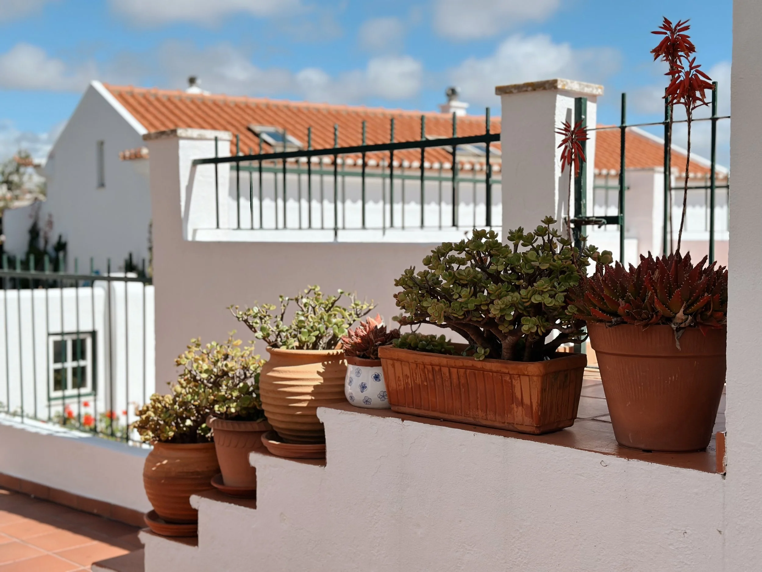 Book your Winter Vacation with our Winter Specials and Monthly Rentals at The Blanco Bungalow Portugal